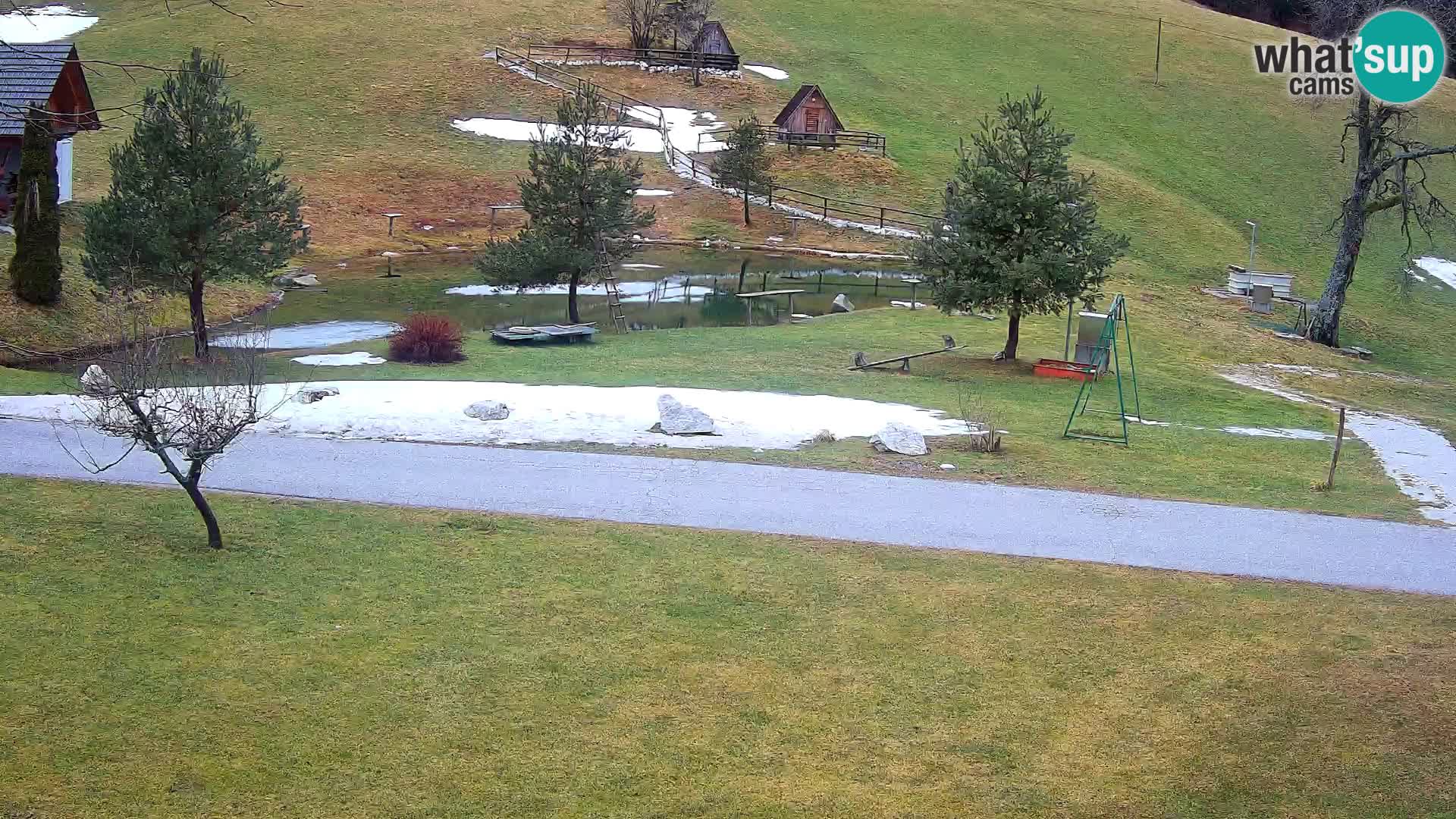 Ribnik na Domačiji Pr’Vrhovc | Spletna kamera