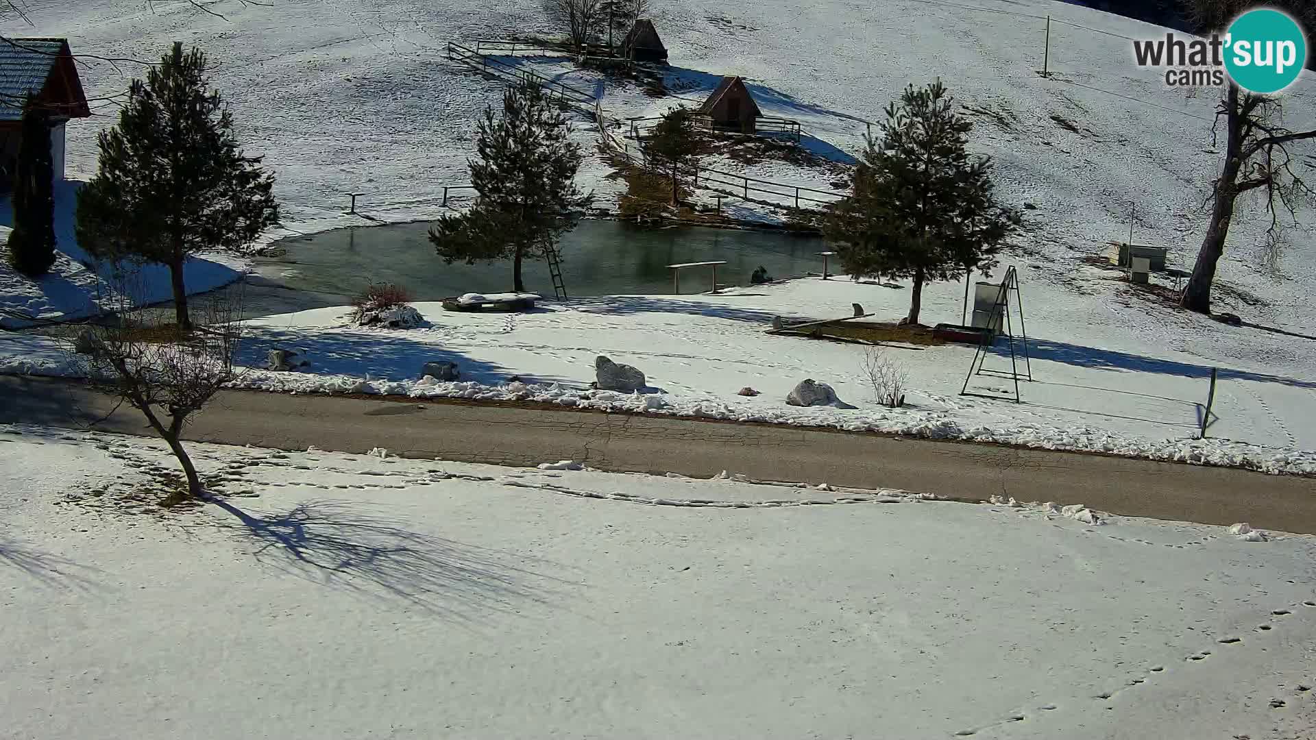 Pond at the Pr’Vrhovc Homestead Webcam