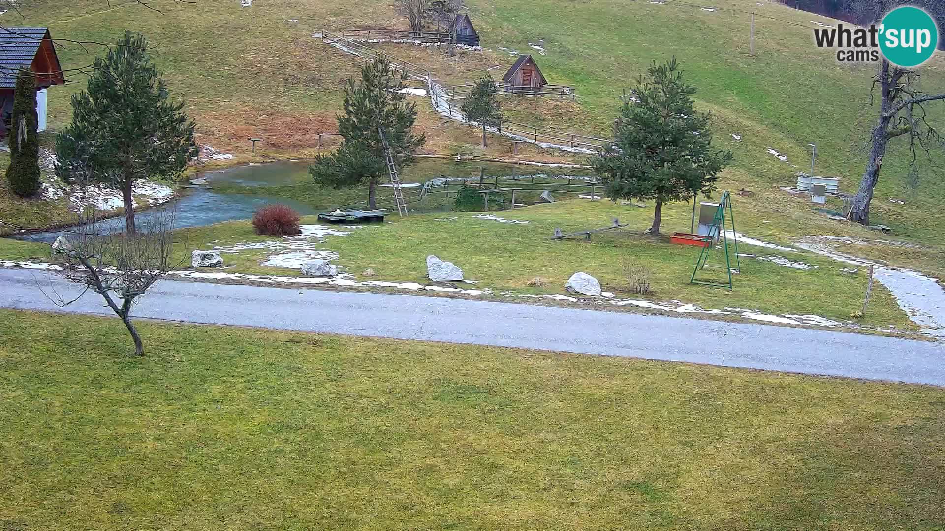 Teich auf dem Bauernhof Pr’Vrhovc | Webkamera