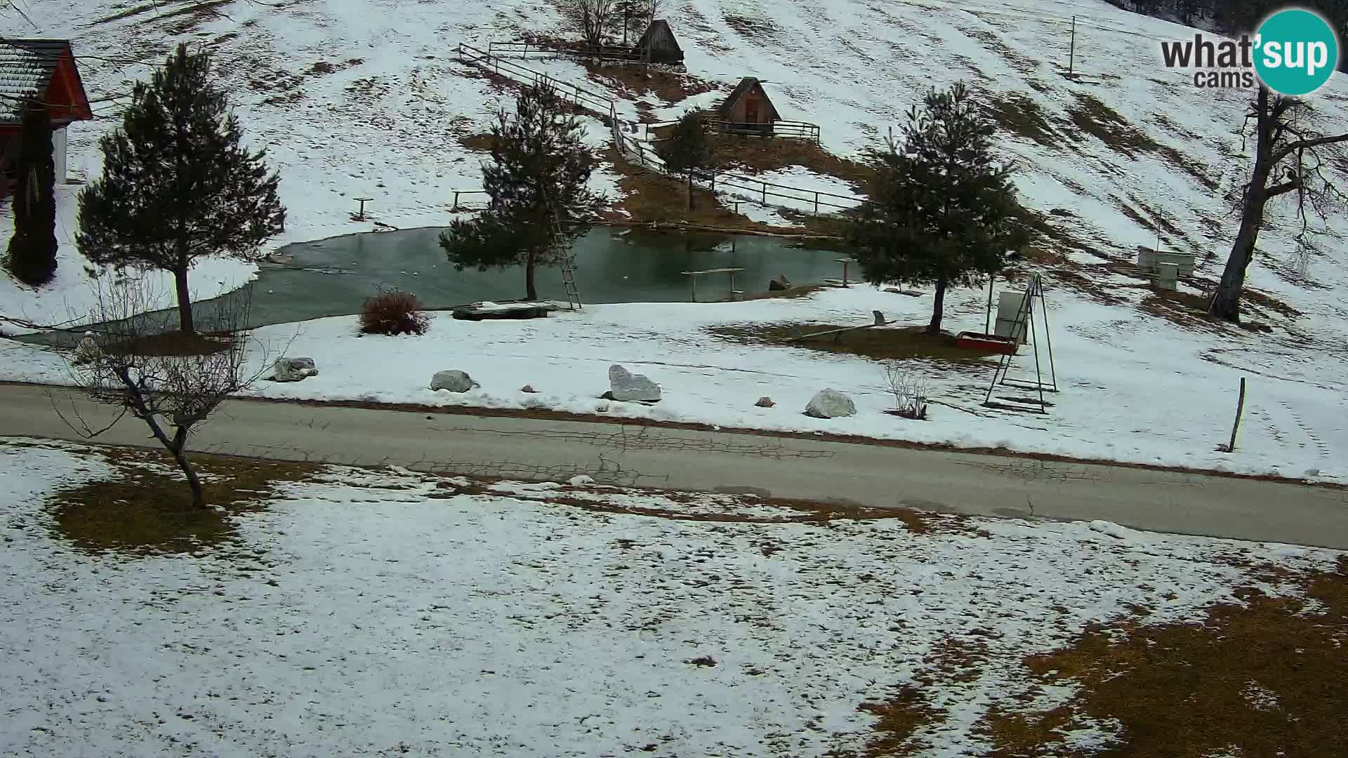 Stagno presso la Fattoria turistica Pr’Vrhovc | webcam in diretta