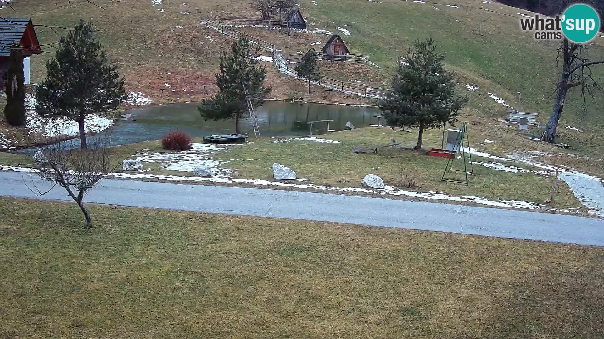 Teich auf dem Bauernhof Pr’Vrhovc | Webkamera