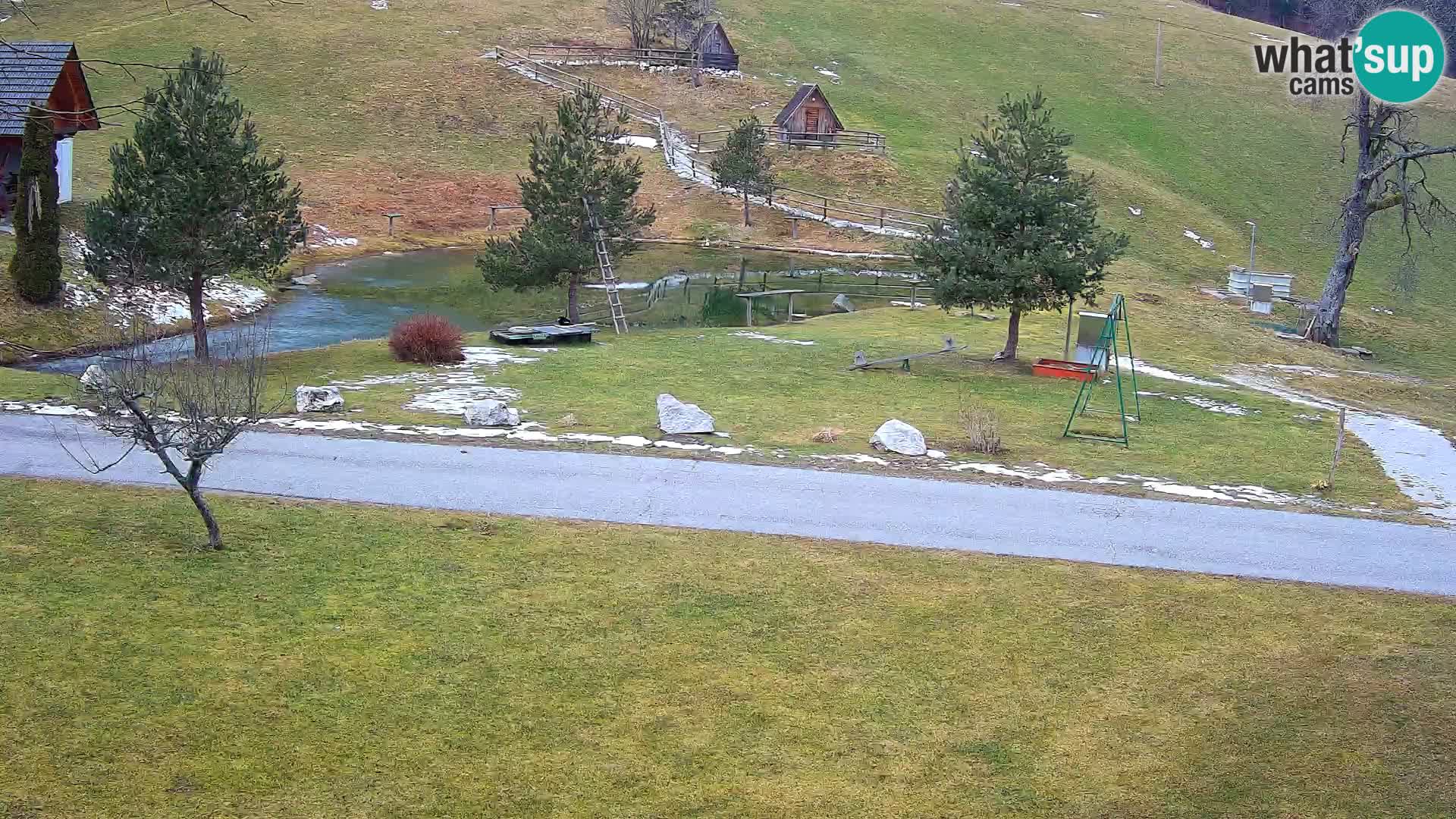 Teich auf dem Bauernhof Pr’Vrhovc | Webkamera