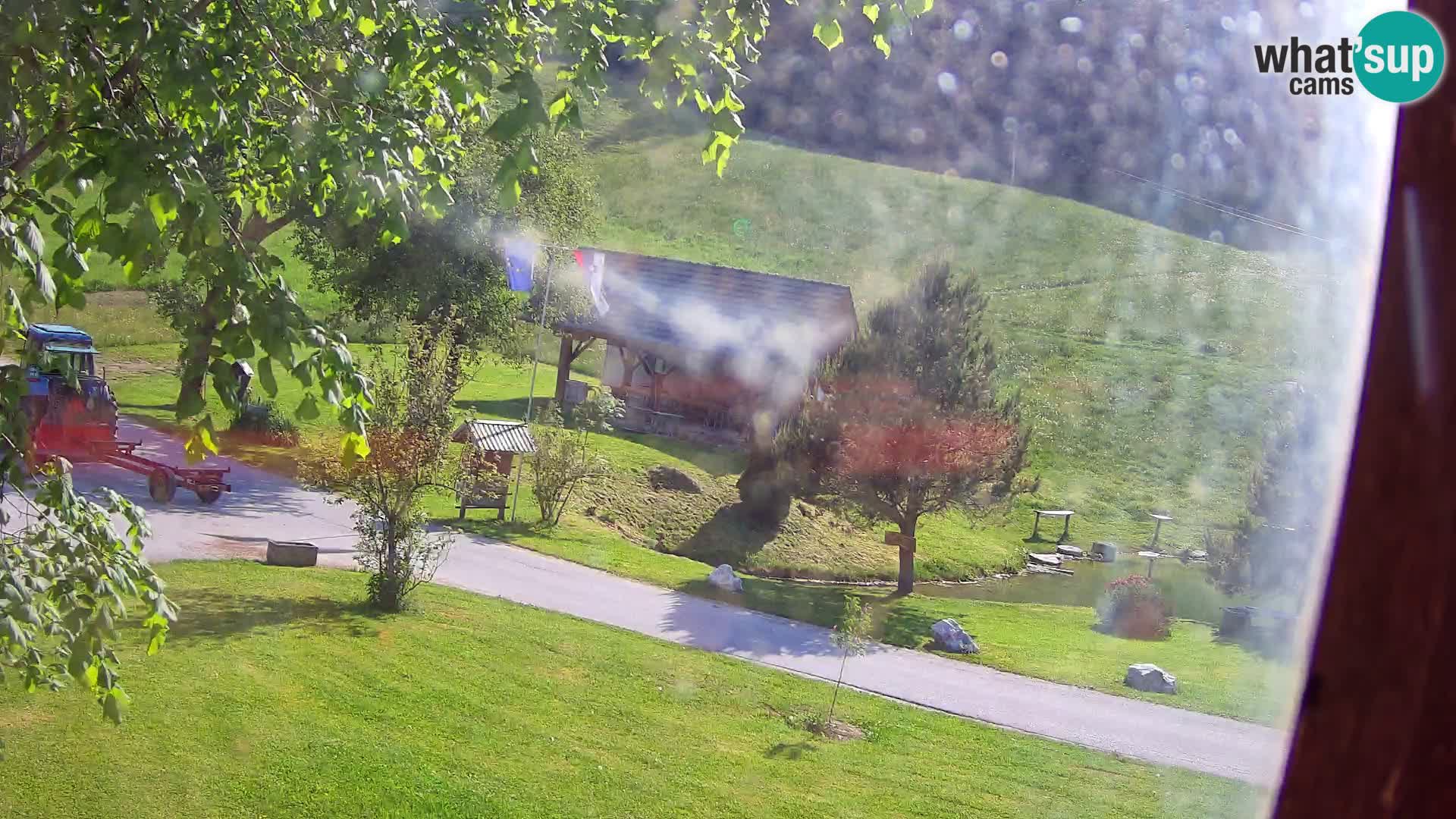 Stagno presso la Fattoria turistica Pr’Vrhovc | webcam in diretta