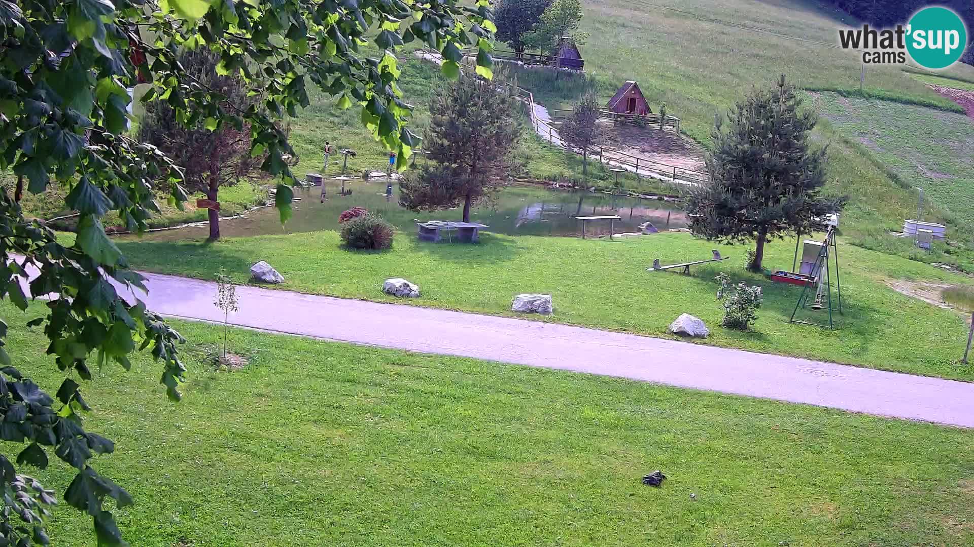 Ribnjak na domaćinstvu Pr’Vrhovc | Web kamera