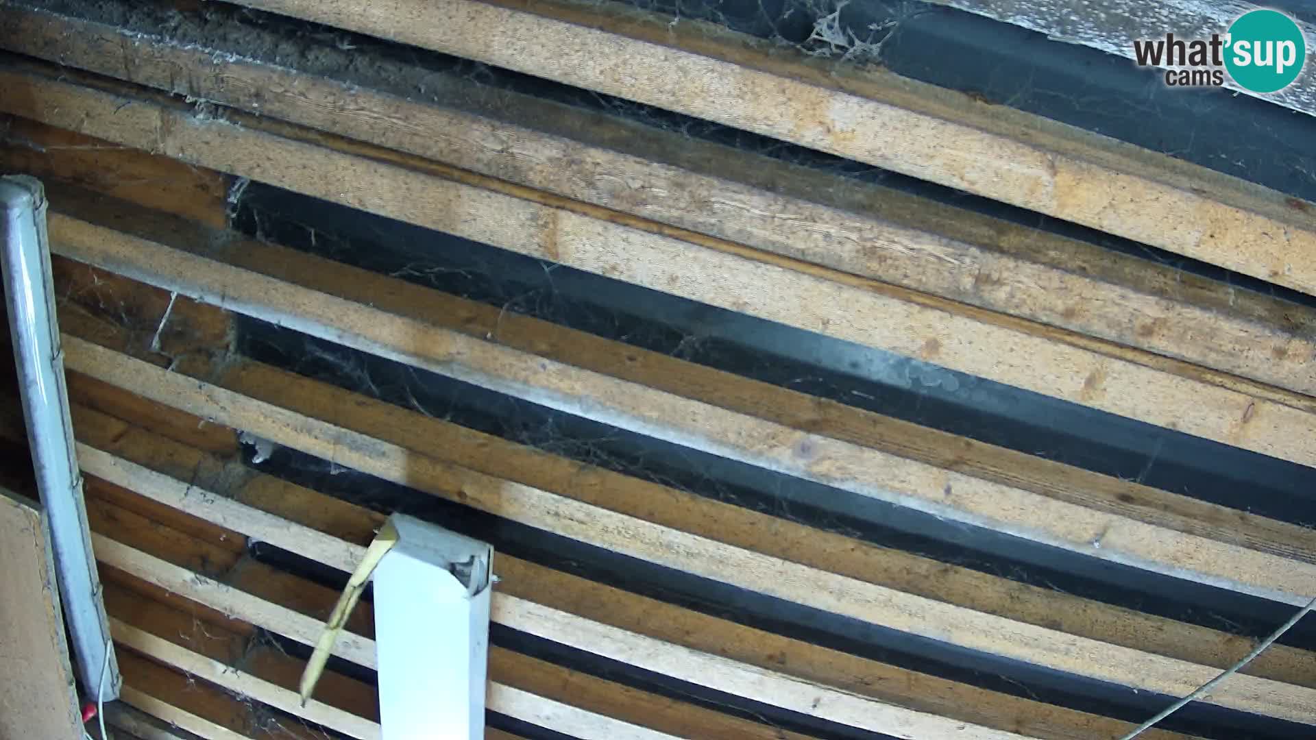 Étang à la ferme Pr’Vrhovc | Caméra en direct