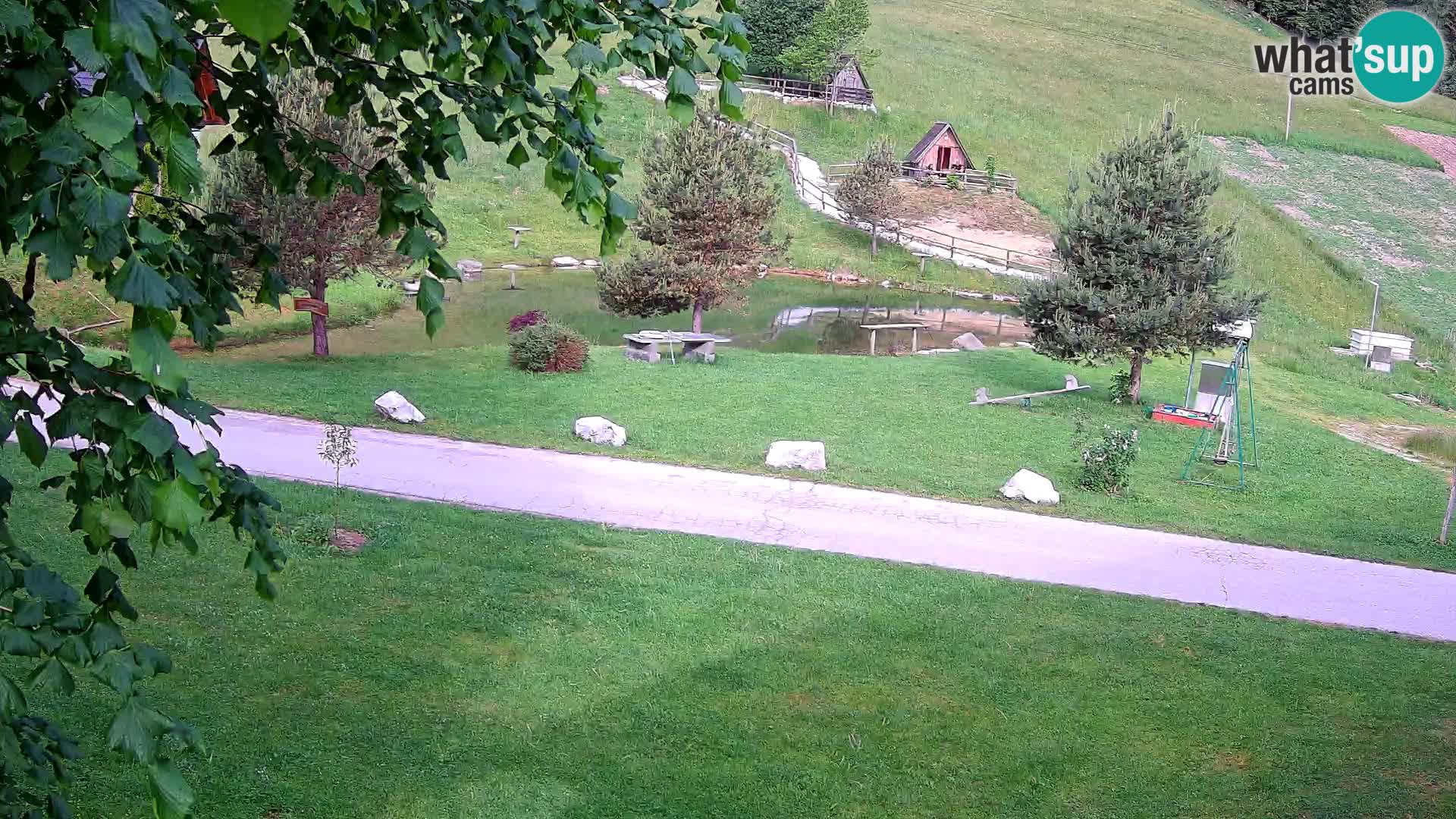 Pond at the Pr’Vrhovc Homestead Webcam