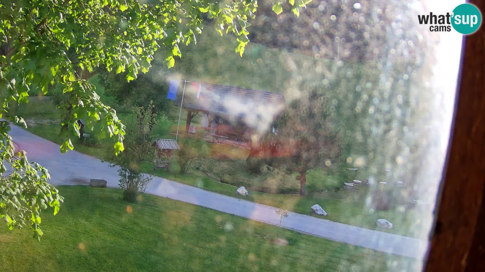 Stagno presso la Fattoria turistica Pr’Vrhovc | webcam in diretta