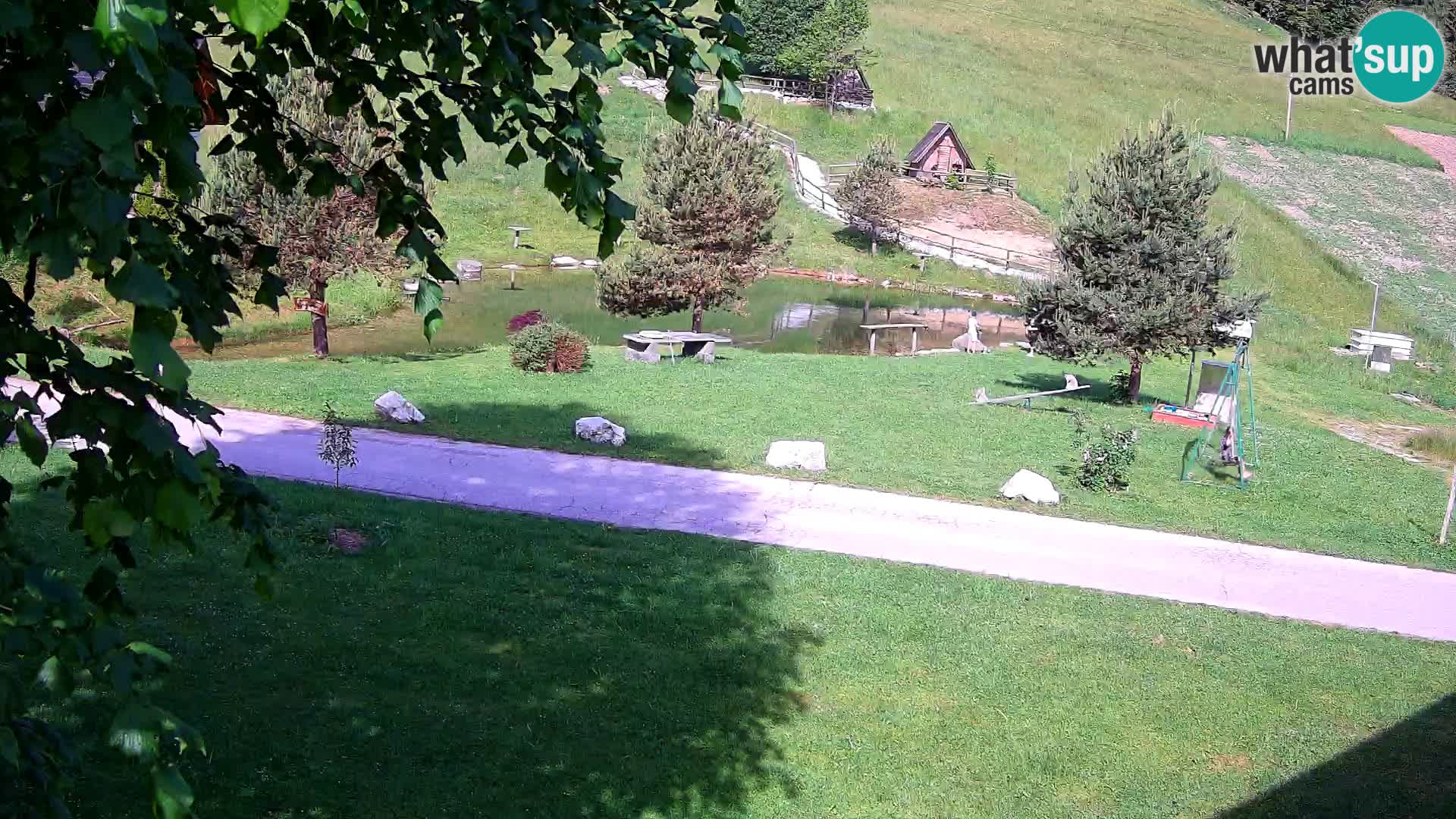 Pond at the Pr’Vrhovc Homestead Webcam