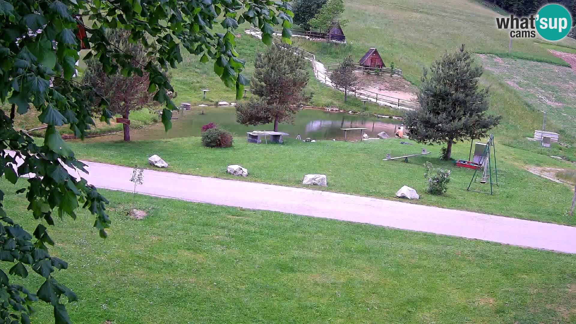 Ribnjak na domaćinstvu Pr’Vrhovc | Web kamera
