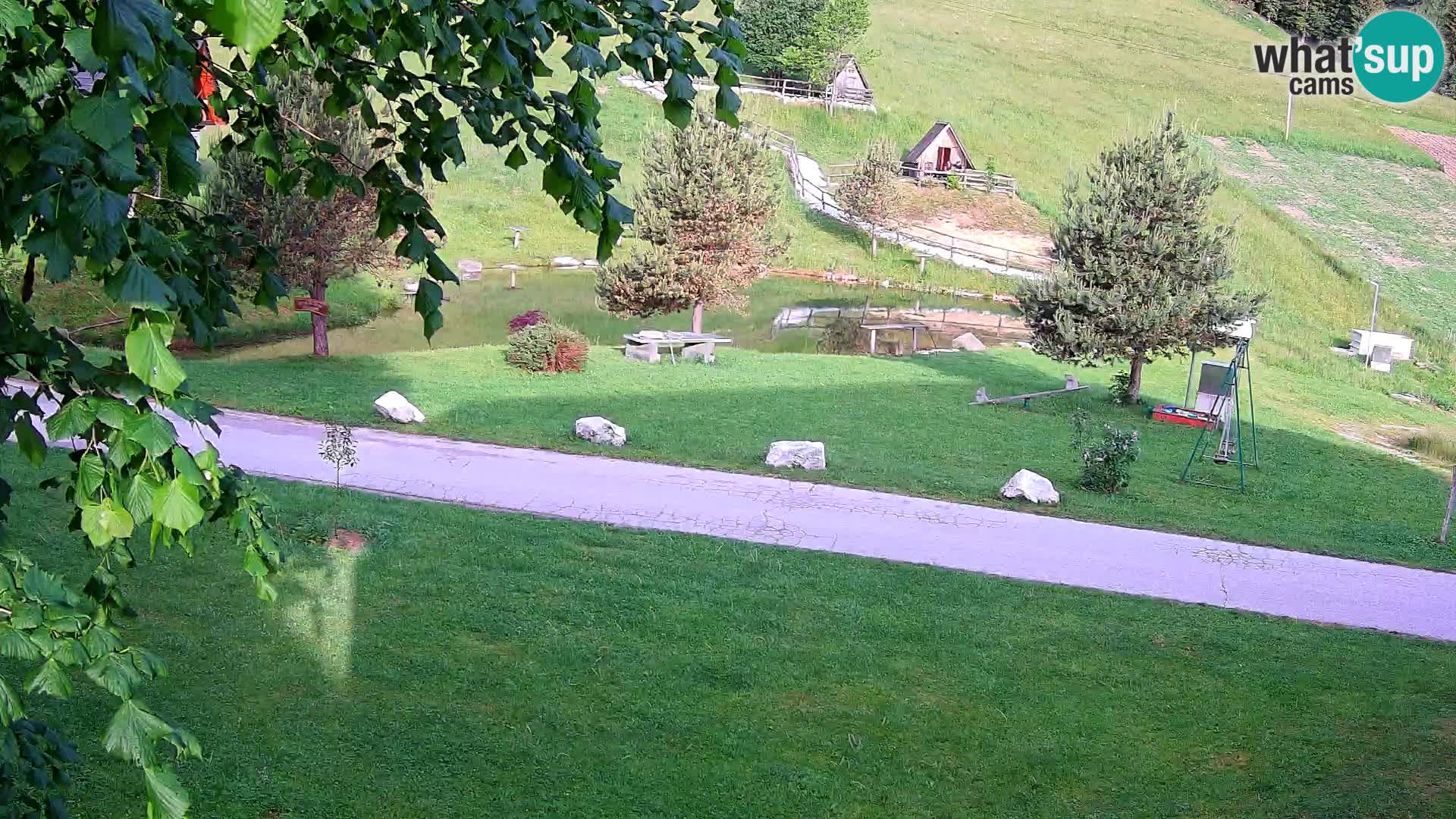 Pond at the Pr’Vrhovc Homestead Webcam