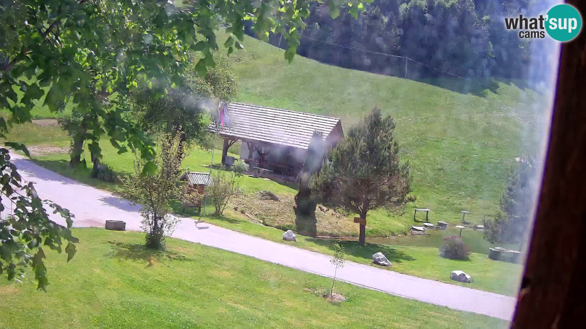 Pond at the Pr’Vrhovc Homestead Webcam