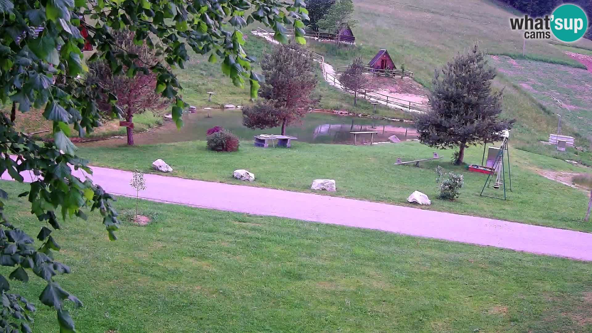 Ribnik na Domačiji Pr’Vrhovc | Spletna kamera