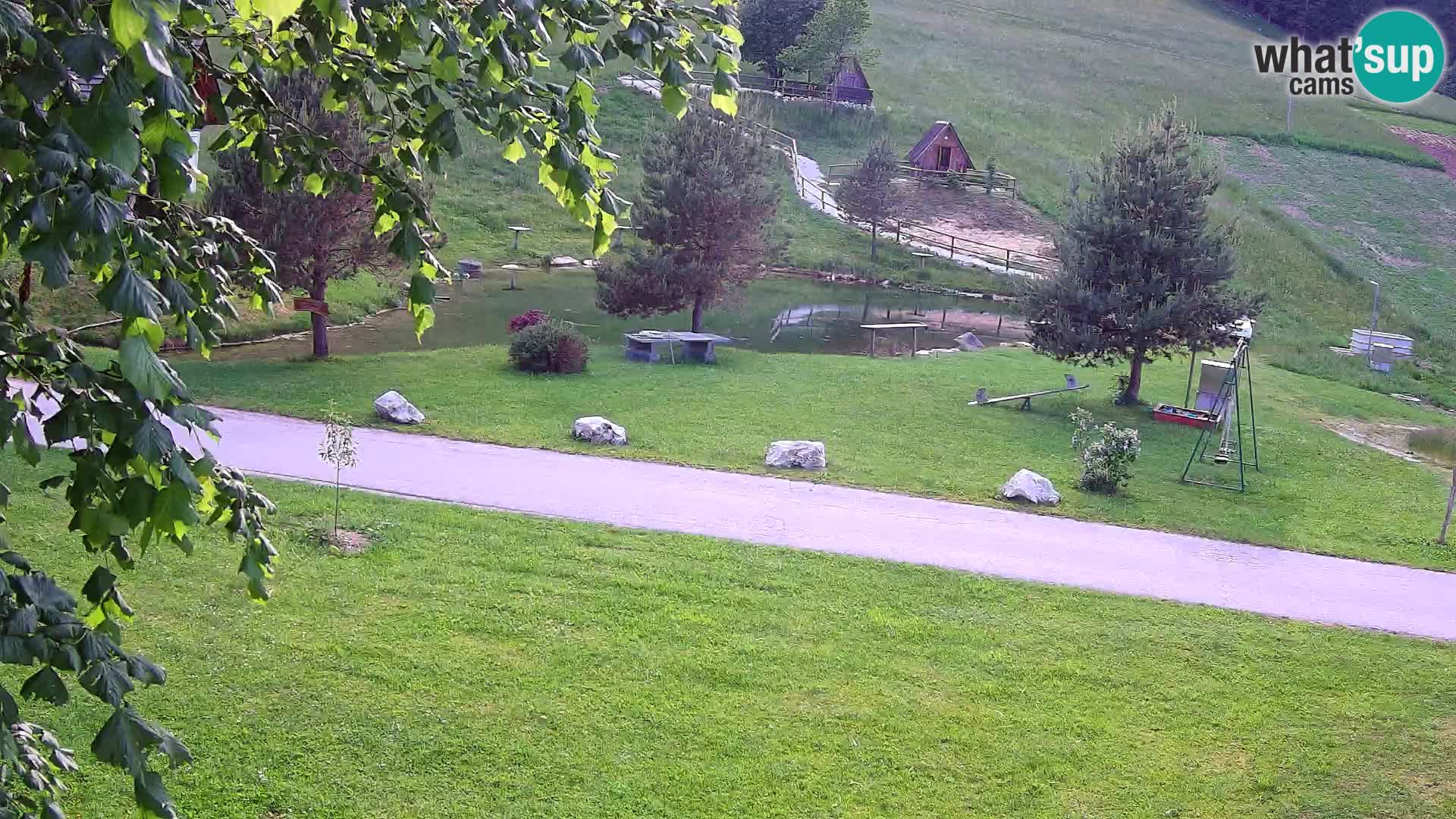 Étang à la ferme Pr’Vrhovc | Caméra en direct
