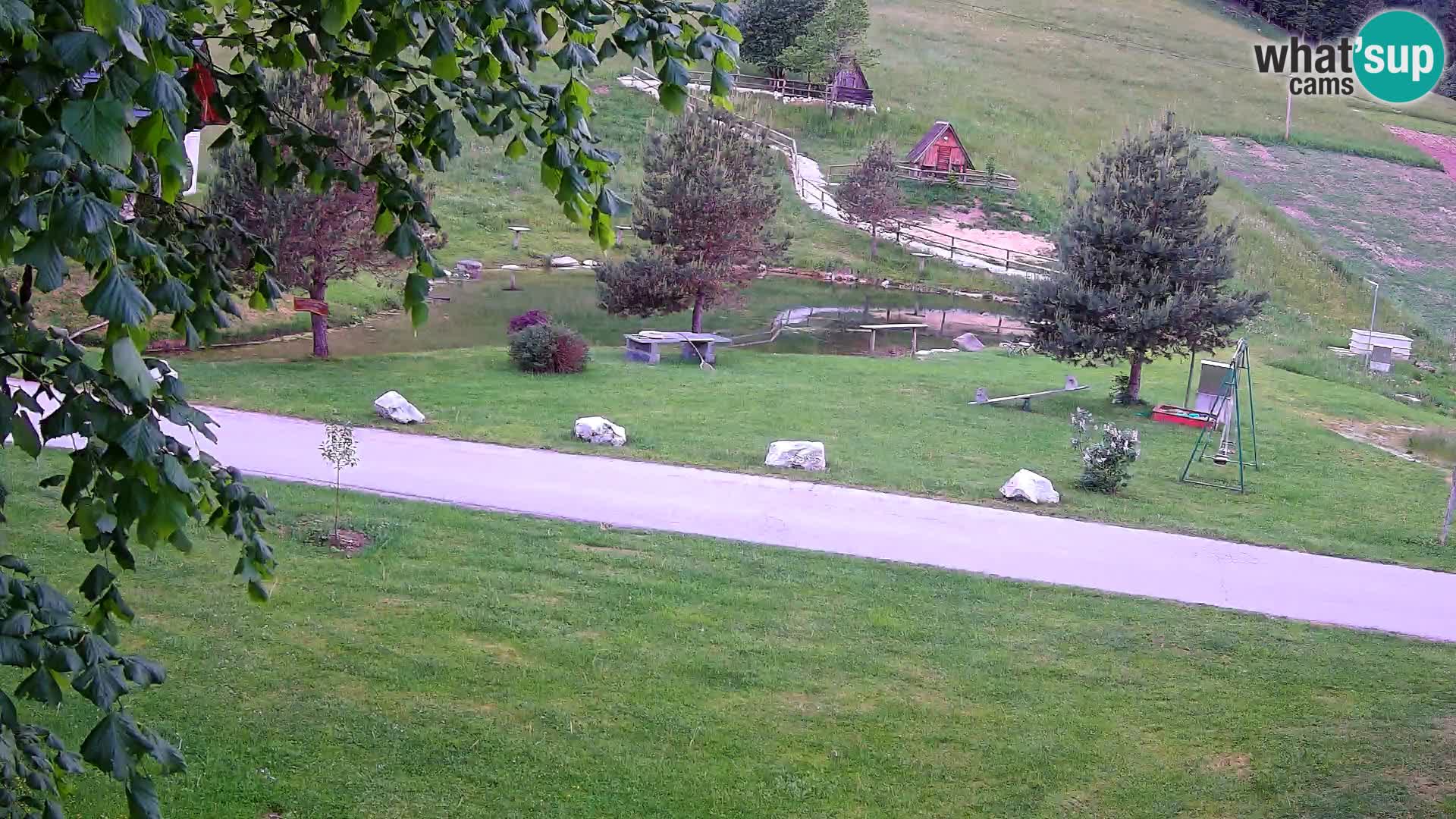 Pond at the Pr’Vrhovc Homestead Webcam