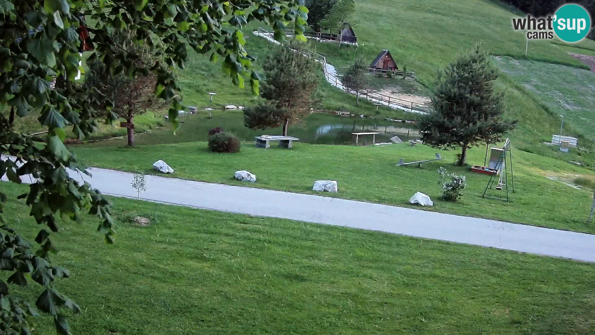 Stagno presso la Fattoria turistica Pr’Vrhovc | webcam in diretta