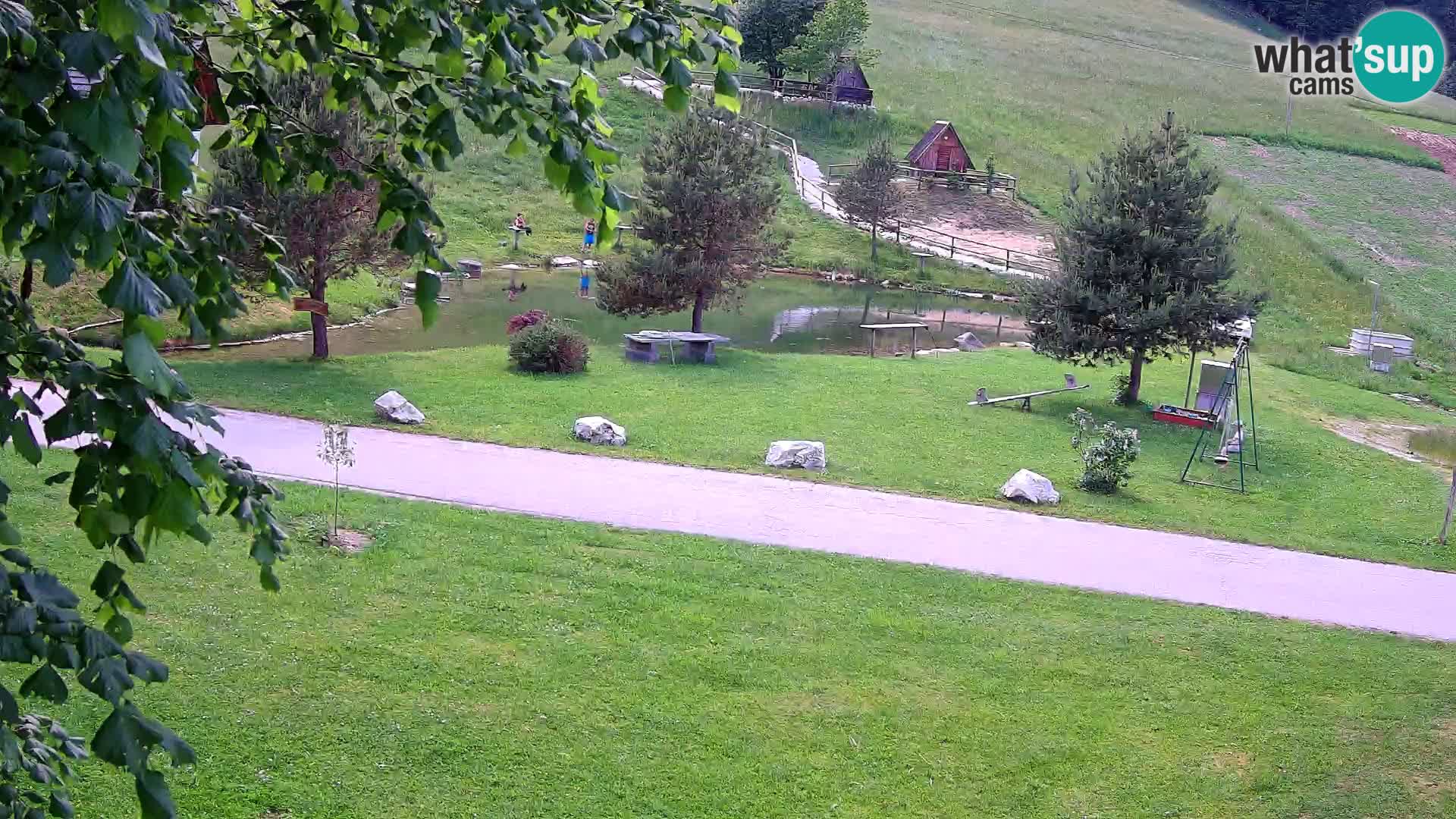 Stagno presso la Fattoria turistica Pr’Vrhovc | webcam in diretta
