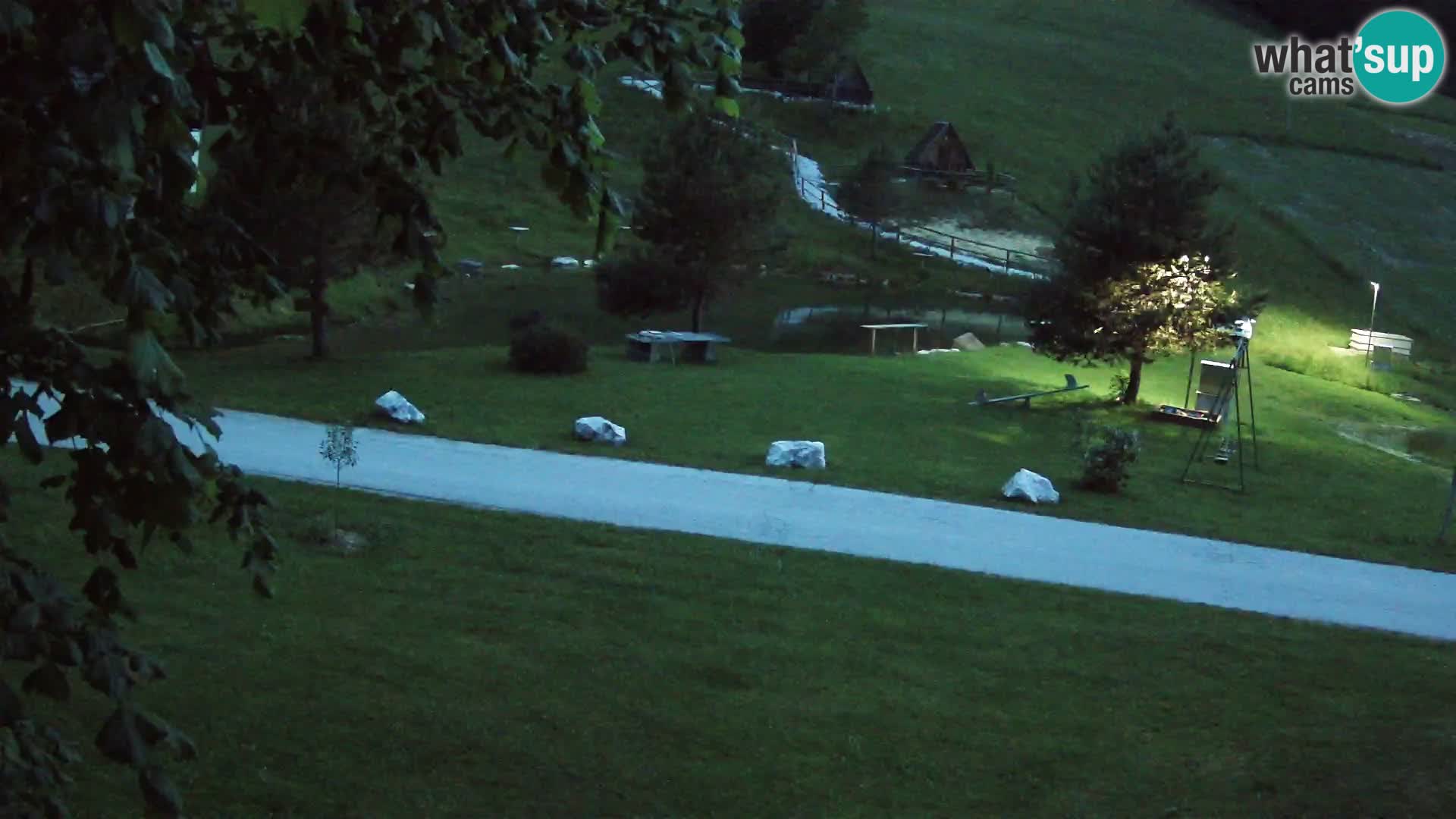 Stagno presso la Fattoria turistica Pr’Vrhovc | webcam in diretta