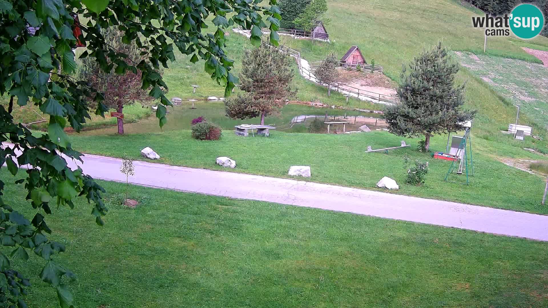 Étang à la ferme Pr’Vrhovc | Caméra en direct