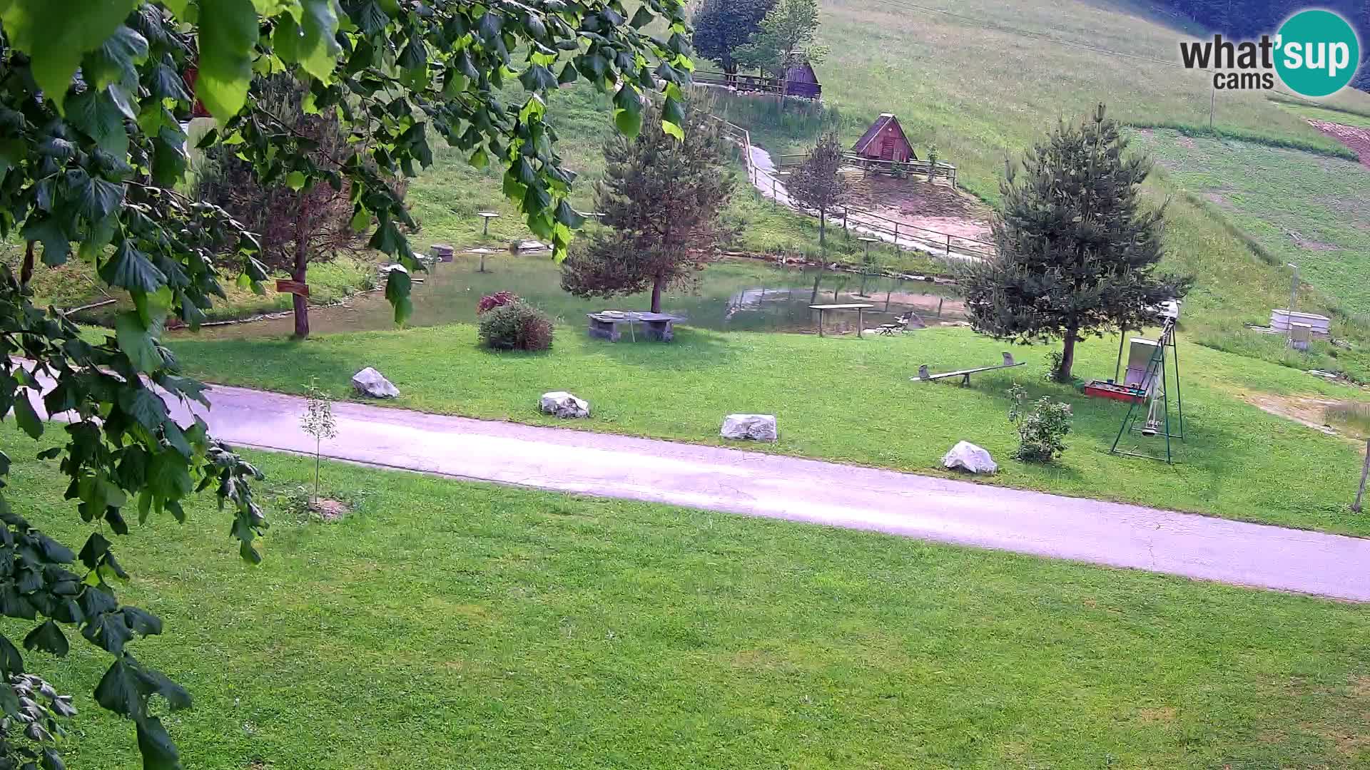 Ribnik na Domačiji Pr’Vrhovc | Spletna kamera