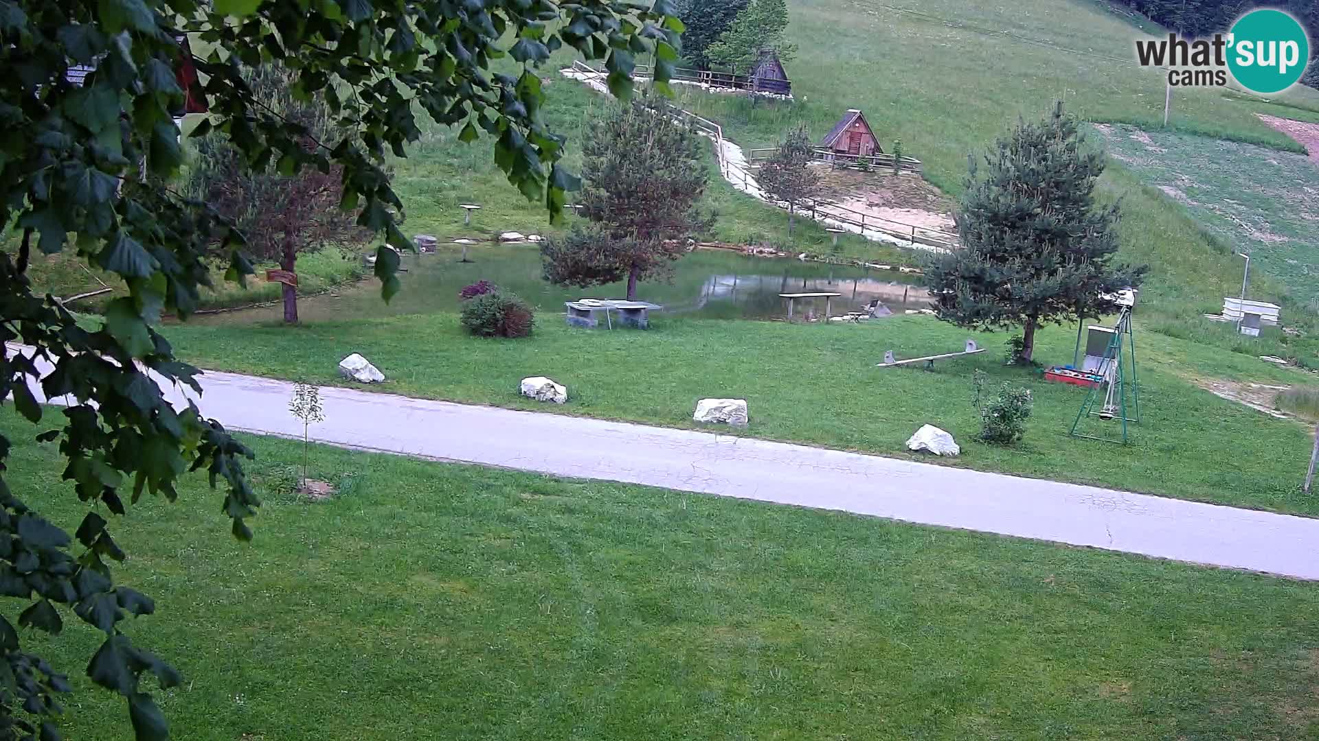 Pond at the Pr’Vrhovc Homestead Webcam