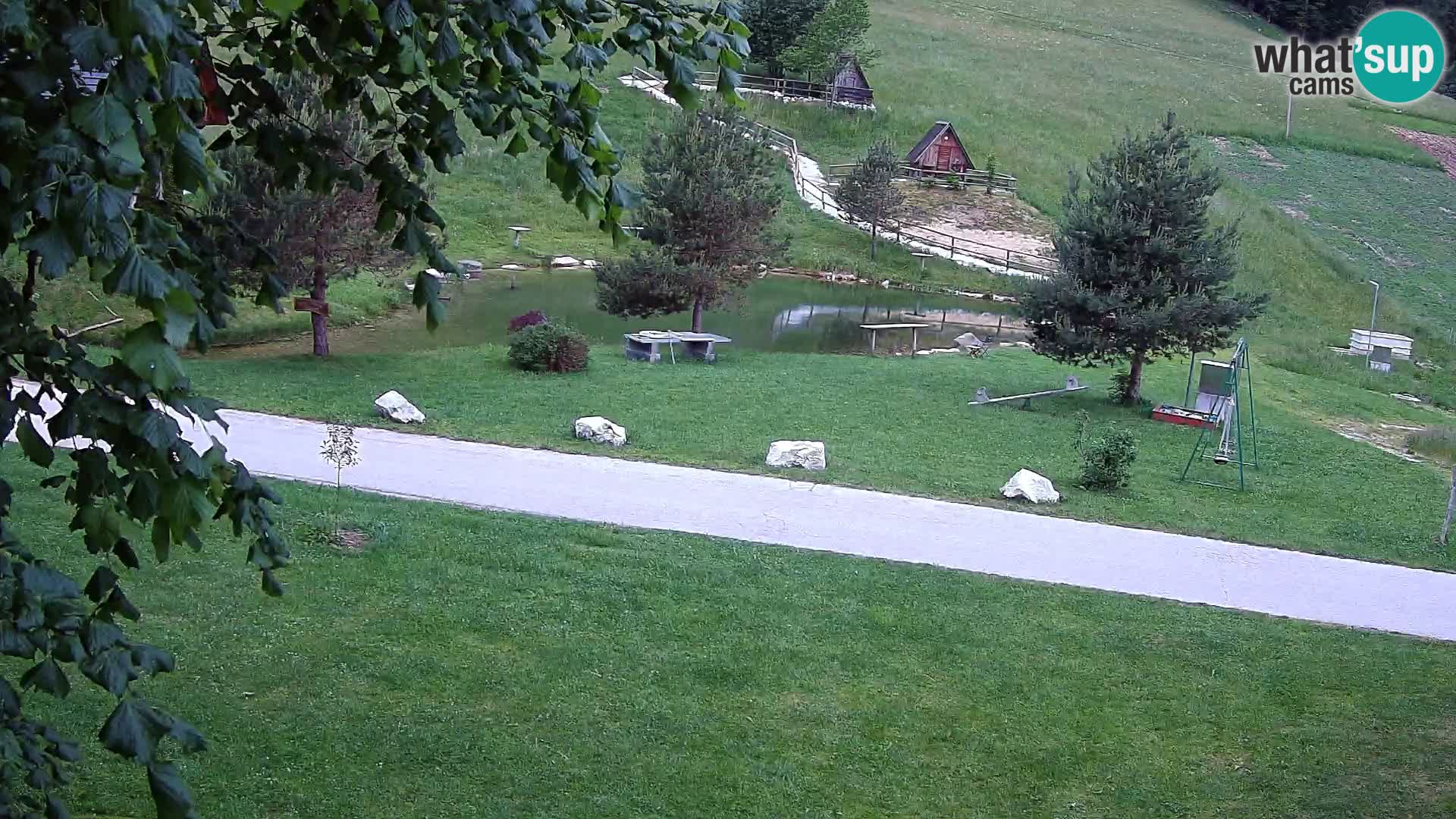 Pond at the Pr’Vrhovc Homestead Webcam