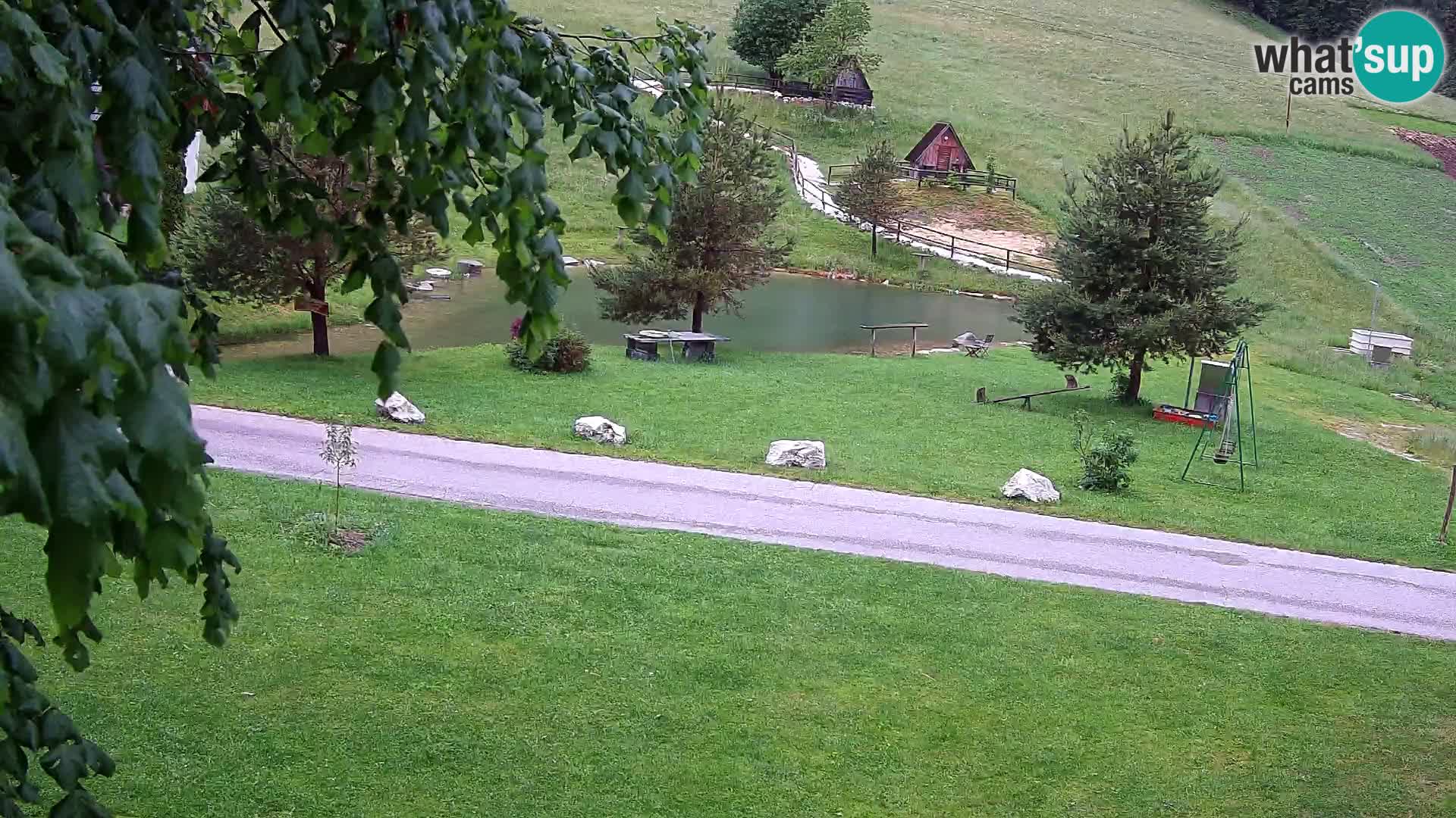 Étang à la ferme Pr’Vrhovc | Caméra en direct