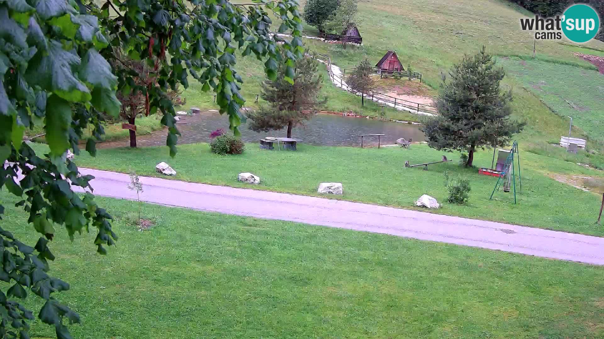 Étang à la ferme Pr’Vrhovc | Caméra en direct