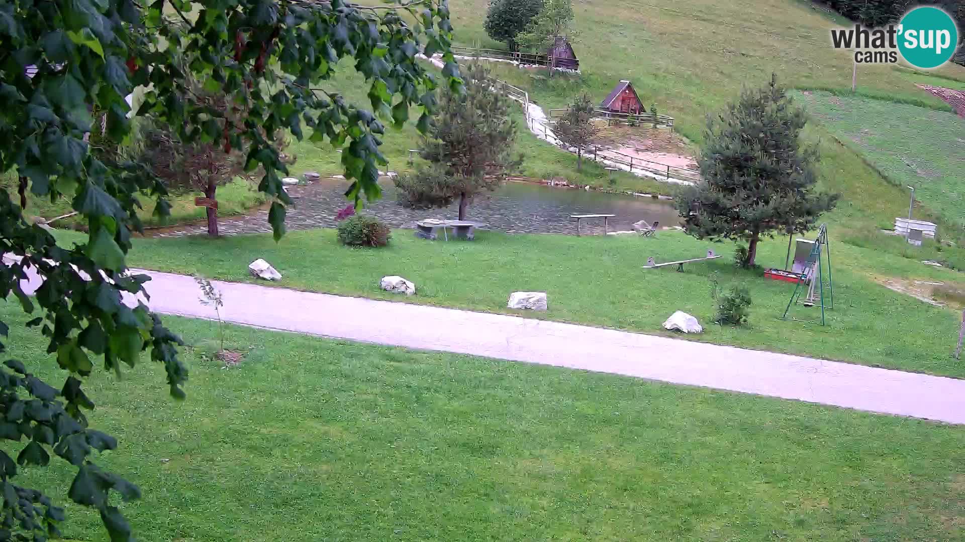 Stagno presso la Fattoria turistica Pr’Vrhovc | webcam in diretta
