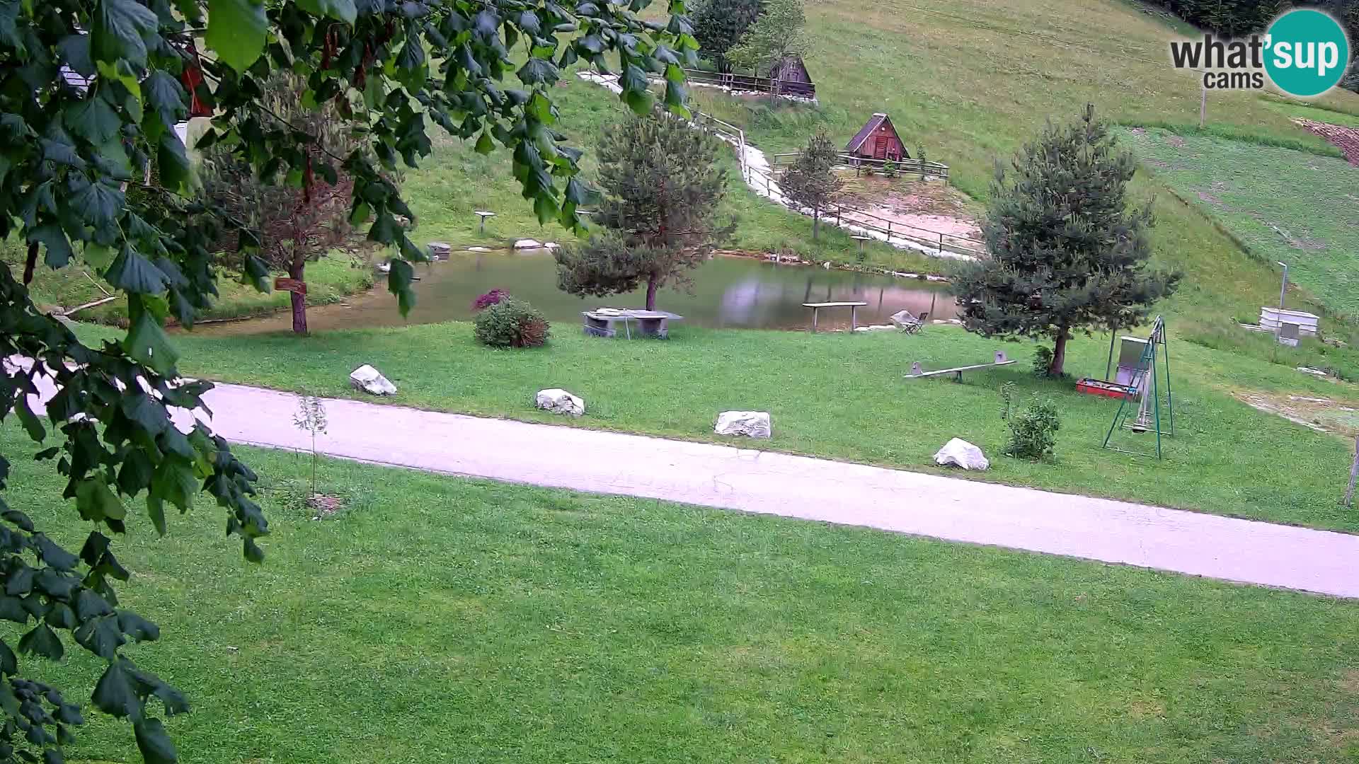Stagno presso la Fattoria turistica Pr’Vrhovc | webcam in diretta