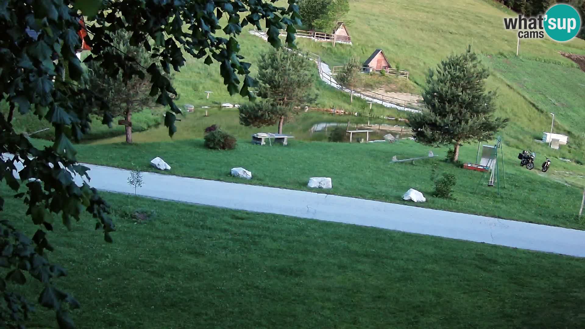 Pond at the Pr’Vrhovc Homestead Webcam