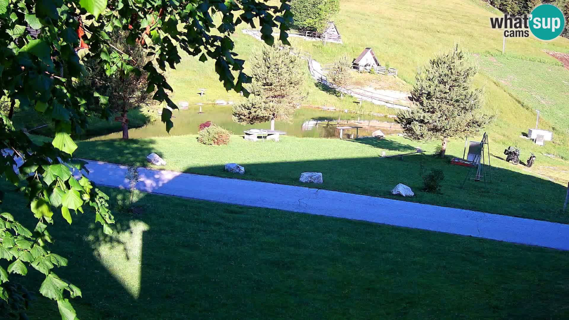 Stagno presso la Fattoria turistica Pr’Vrhovc | webcam in diretta
