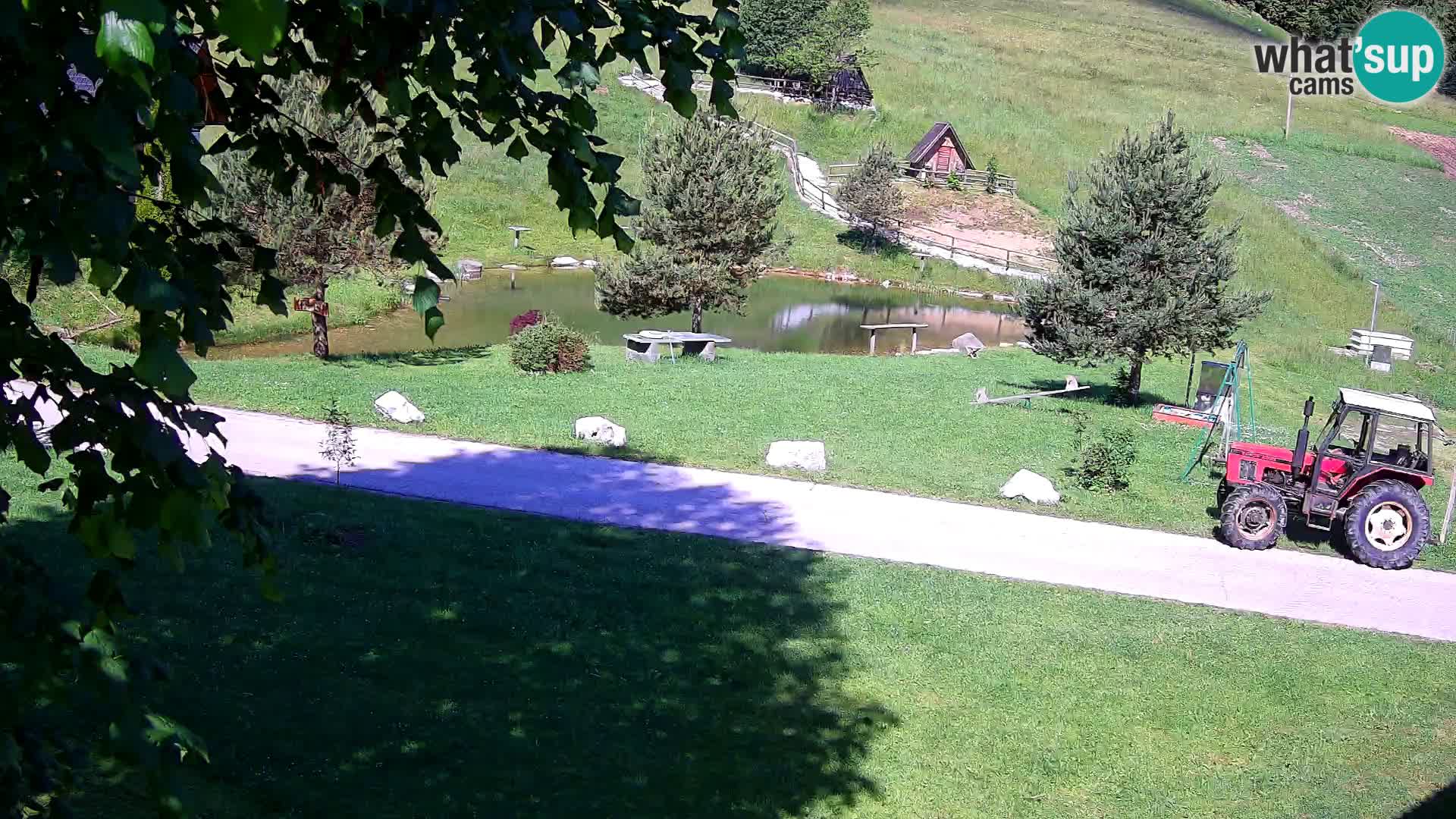 Stagno presso la Fattoria turistica Pr’Vrhovc | webcam in diretta