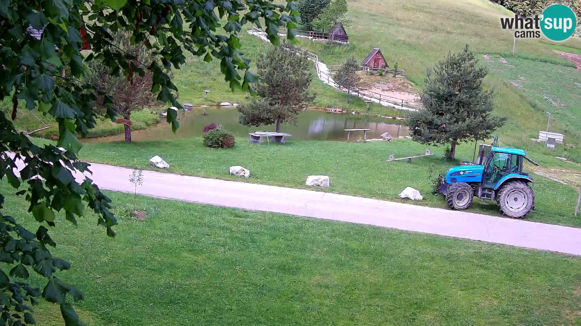 Pond at the Pr’Vrhovc Homestead Webcam