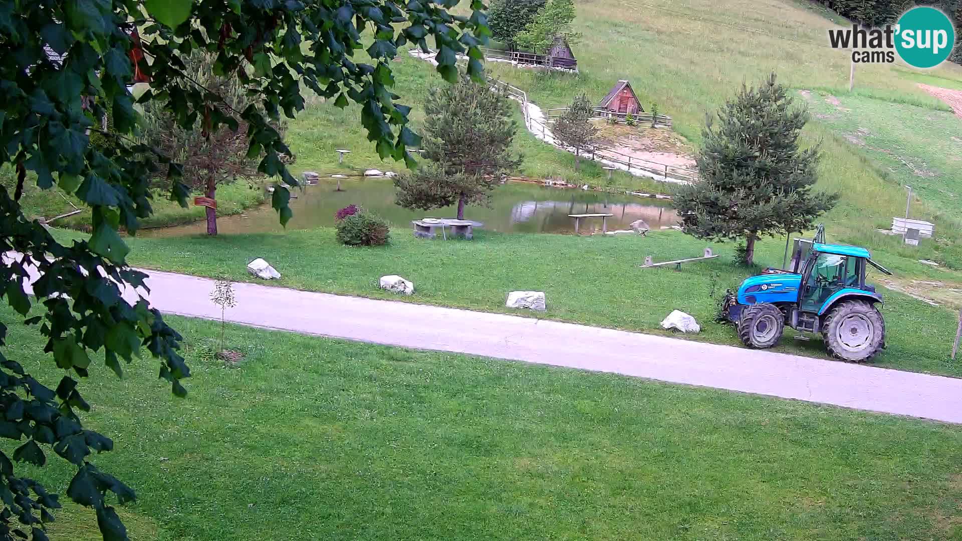 Teich auf dem Bauernhof Pr’Vrhovc | Webkamera
