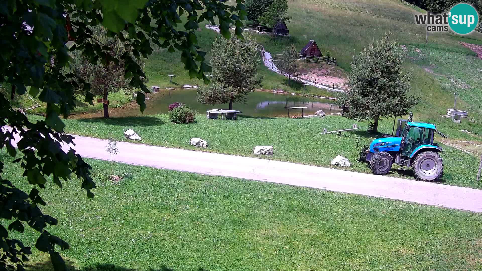 Pond at the Pr’Vrhovc Homestead Webcam