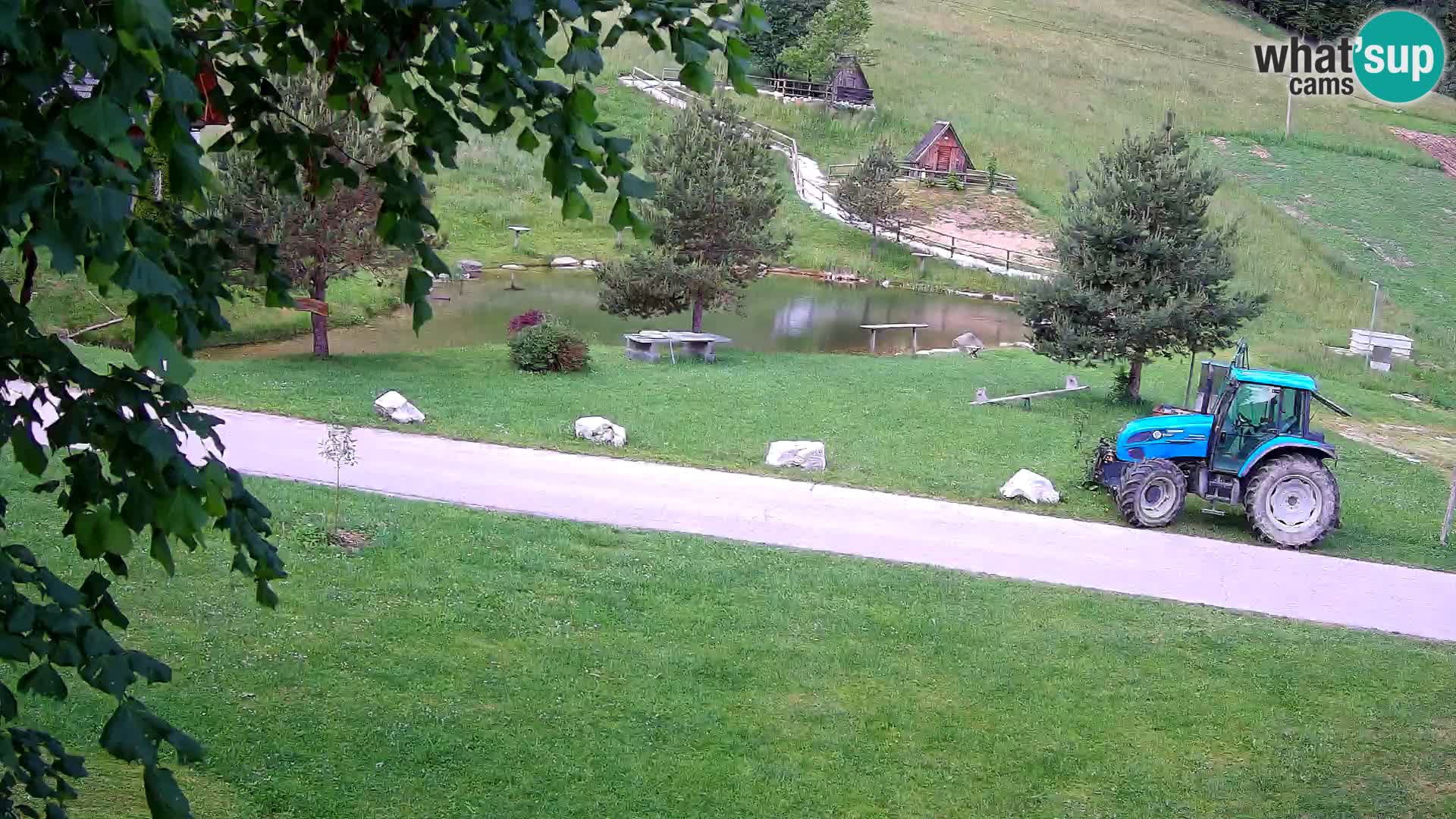 Pond at the Pr’Vrhovc Homestead Webcam