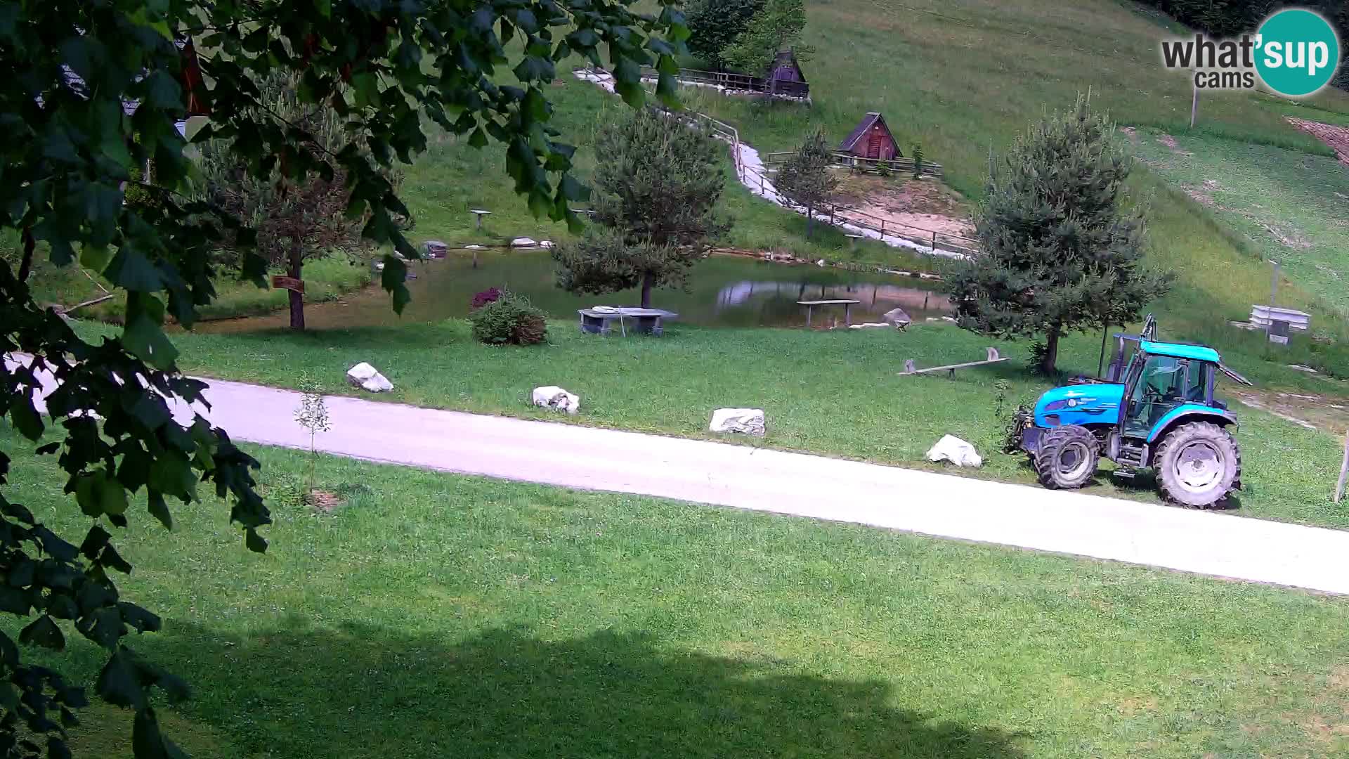 Pond at the Pr’Vrhovc Homestead Webcam