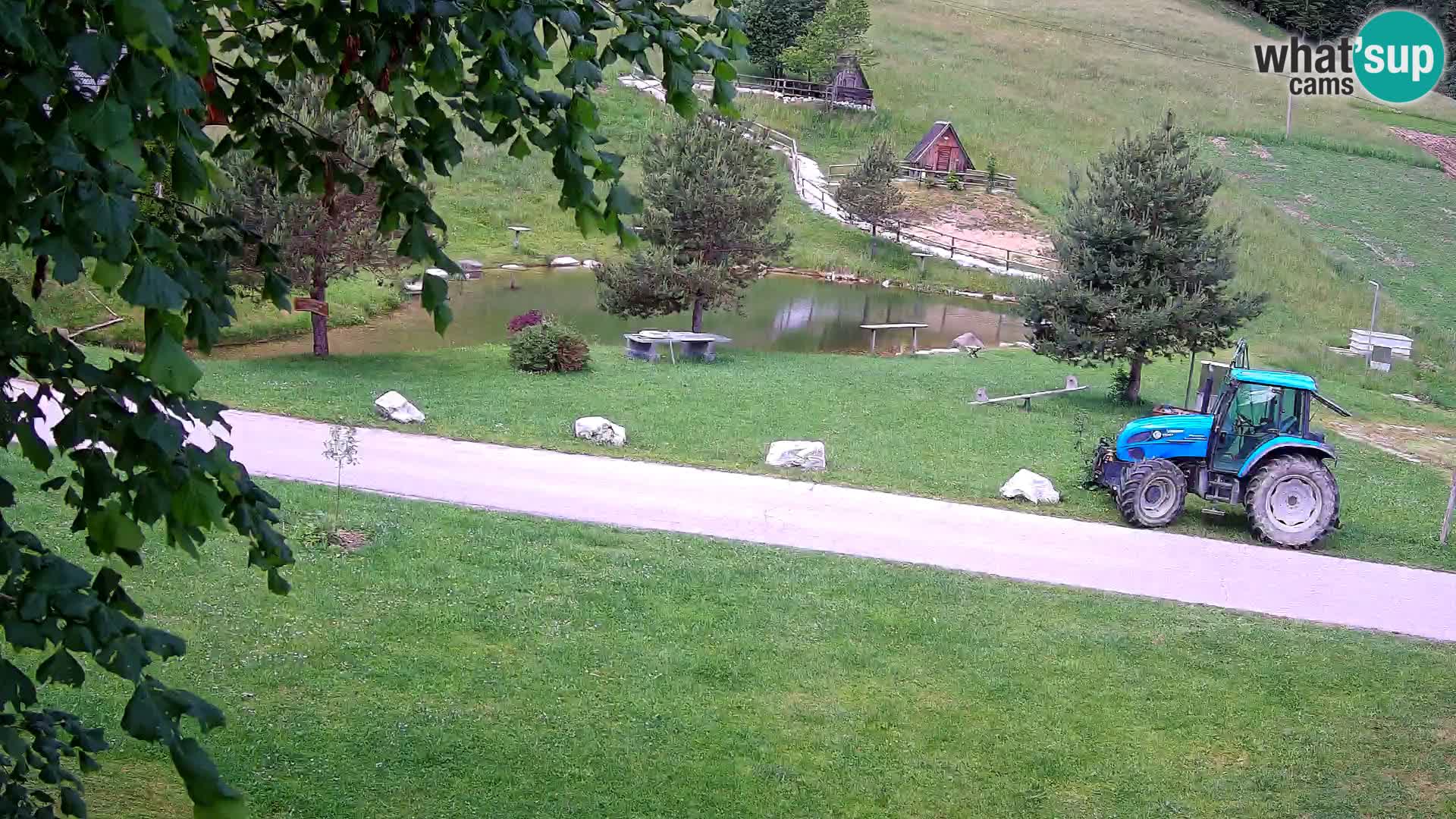 Ribnjak na domaćinstvu Pr’Vrhovc | Web kamera