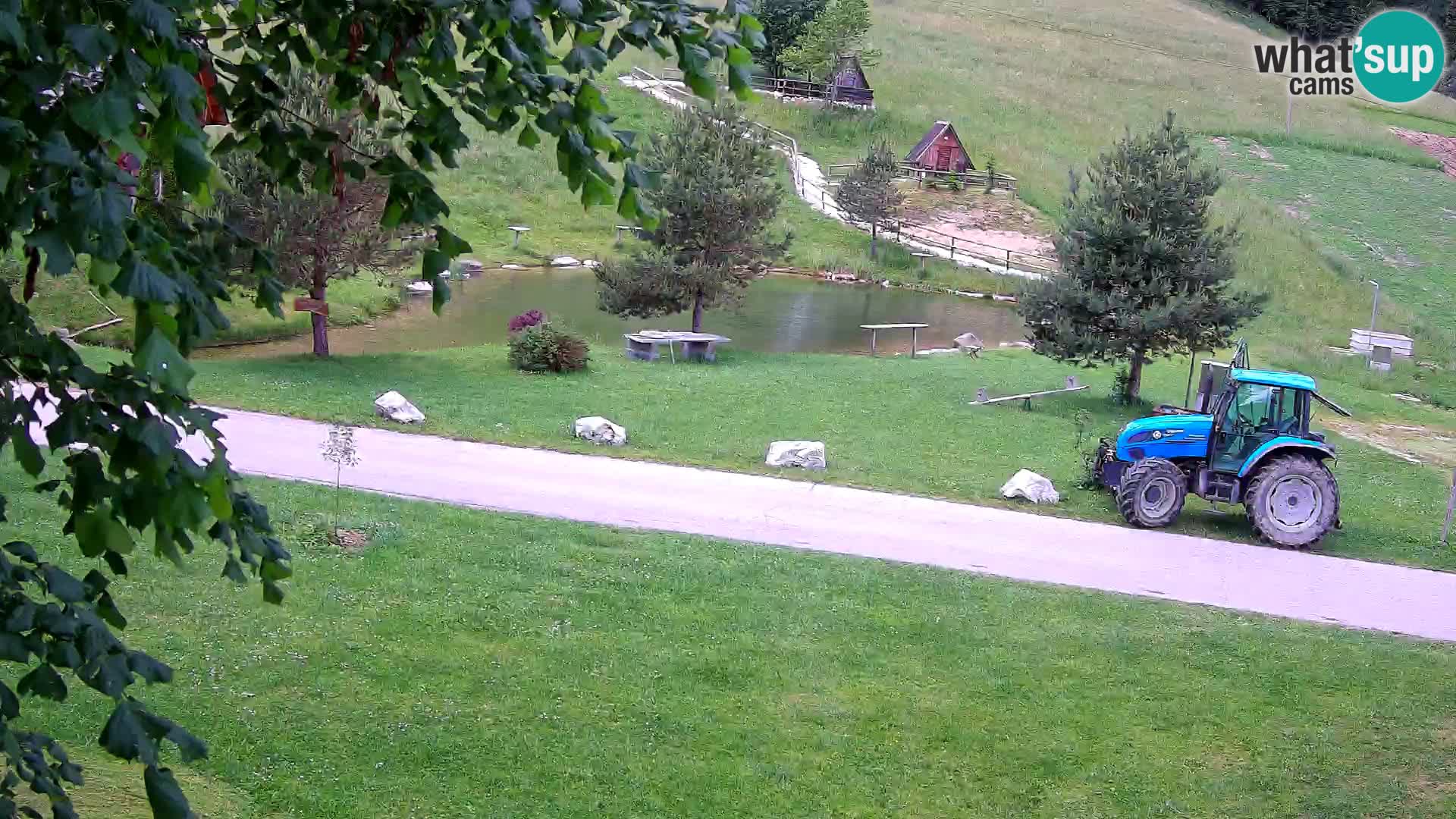 Étang à la ferme Pr’Vrhovc | Caméra en direct