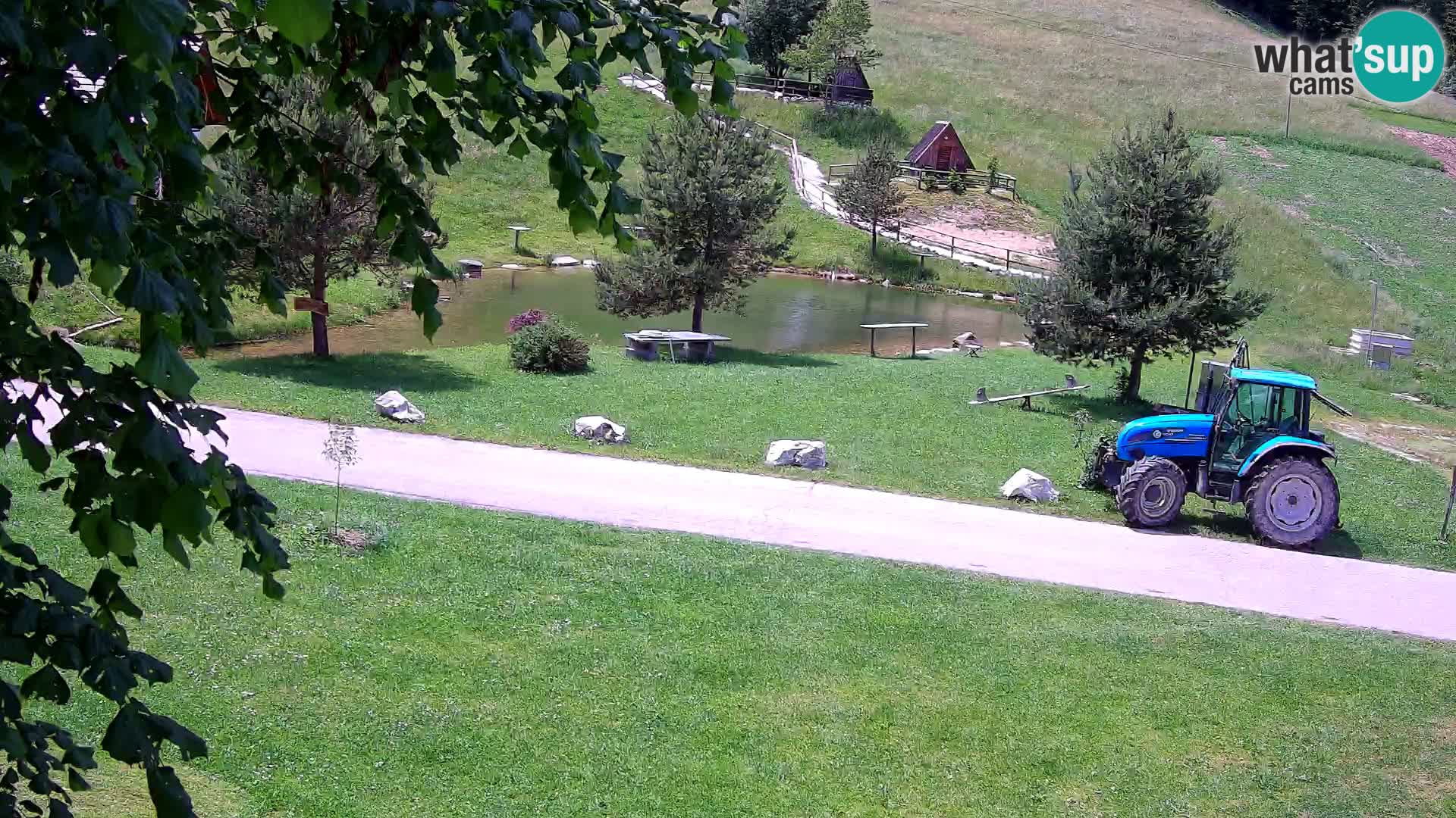 Ribnjak na domaćinstvu Pr’Vrhovc | Web kamera