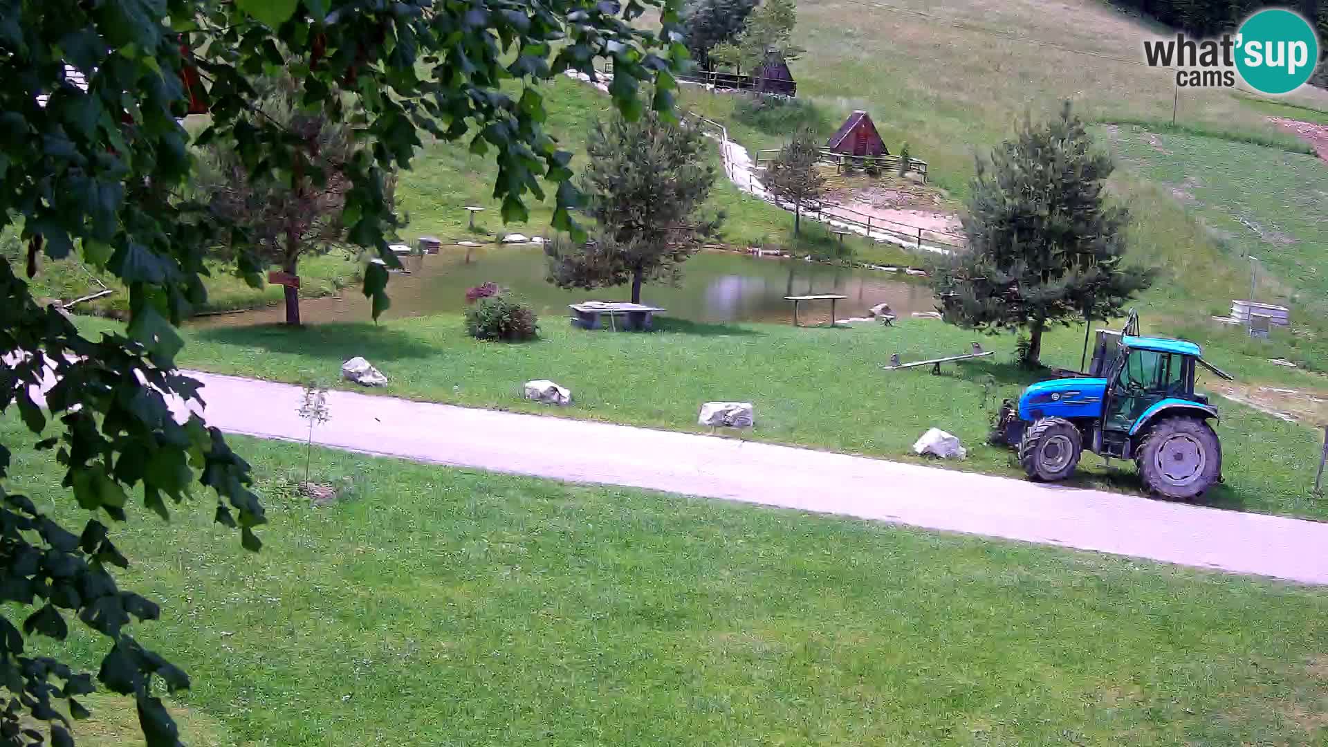 Étang à la ferme Pr’Vrhovc | Caméra en direct