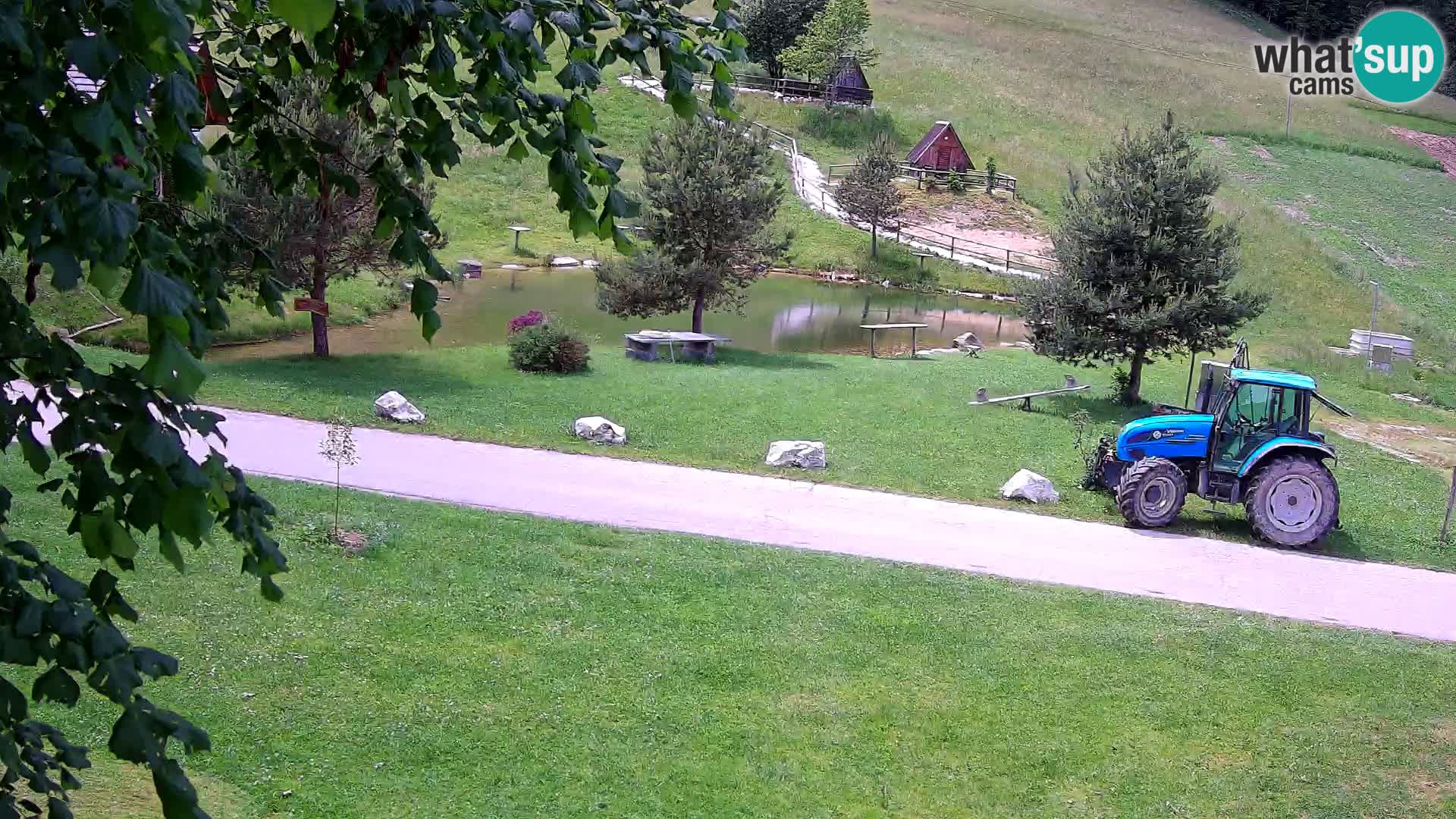 Ribnjak na domaćinstvu Pr’Vrhovc | Web kamera