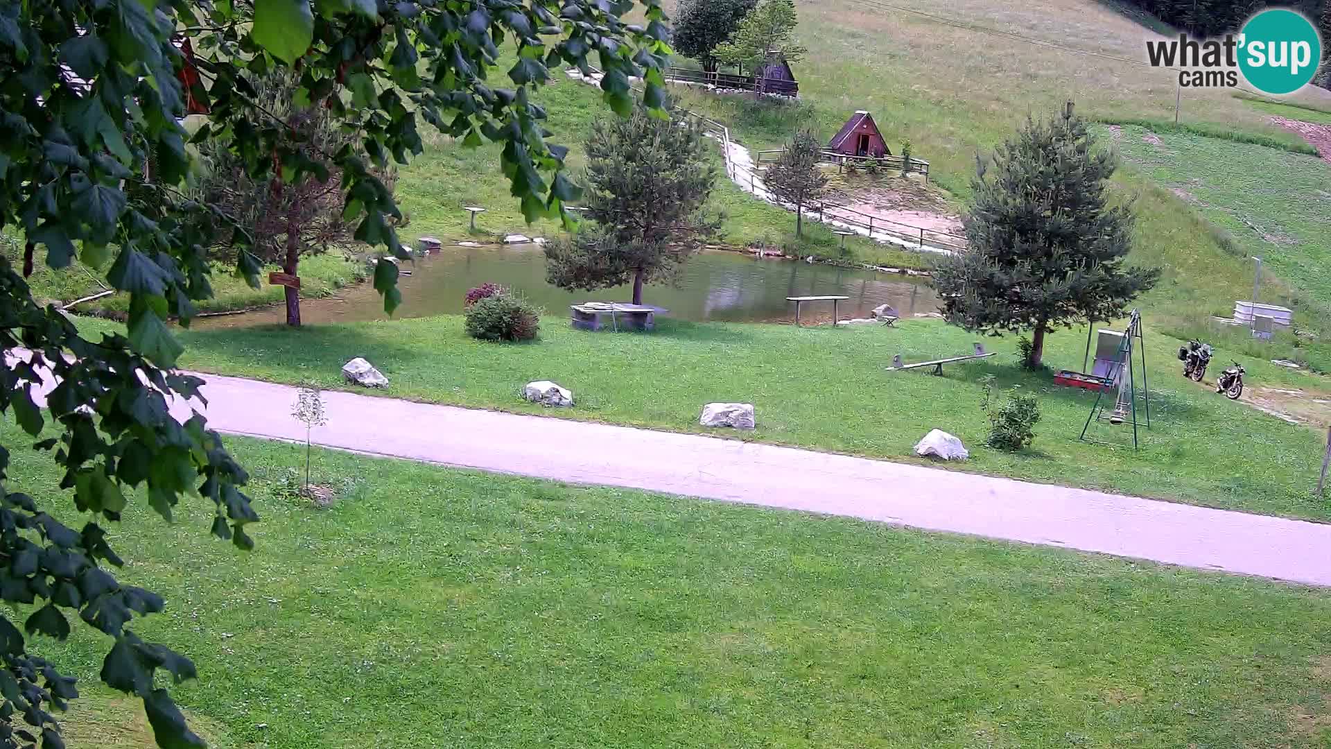 Teich auf dem Bauernhof Pr’Vrhovc | Webkamera