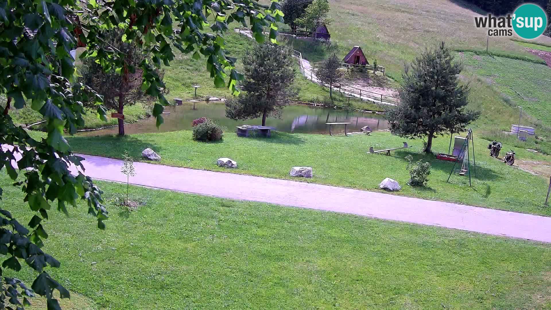Teich auf dem Bauernhof Pr’Vrhovc | Webkamera