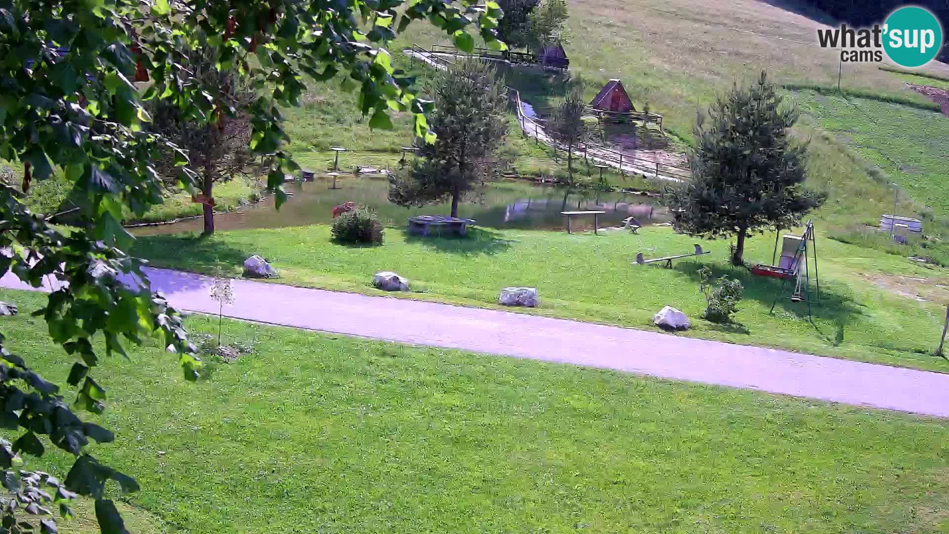 Stagno presso la Fattoria turistica Pr’Vrhovc | webcam in diretta