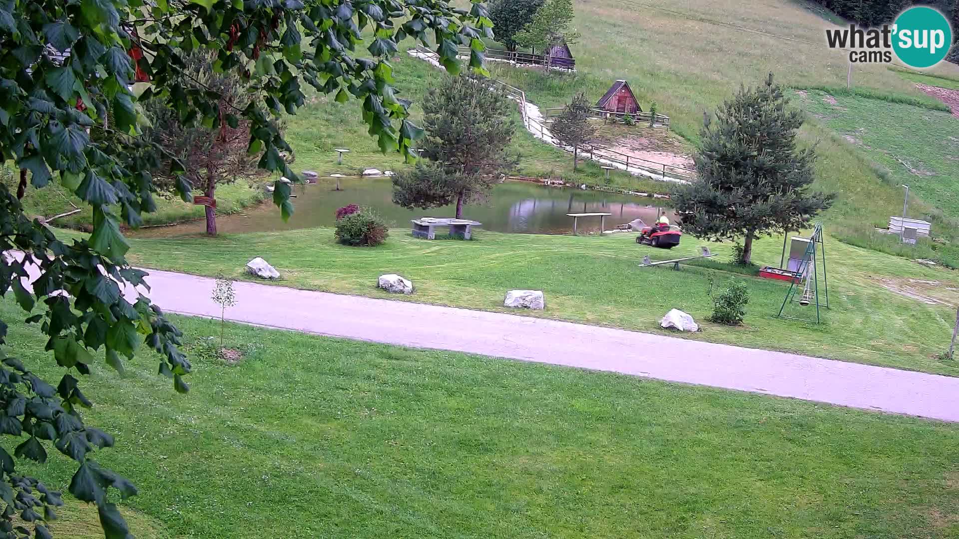 Pond at the Pr’Vrhovc Homestead Webcam