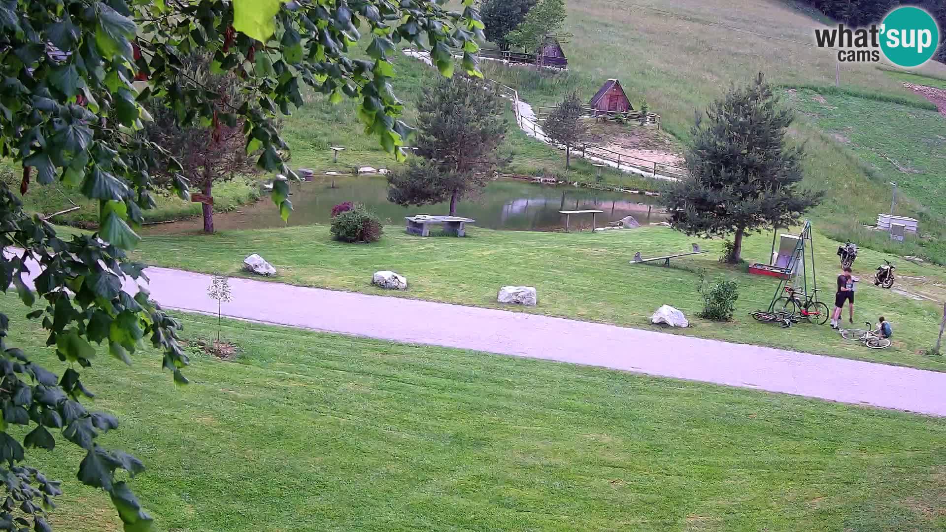 Stagno presso la Fattoria turistica Pr’Vrhovc | webcam in diretta