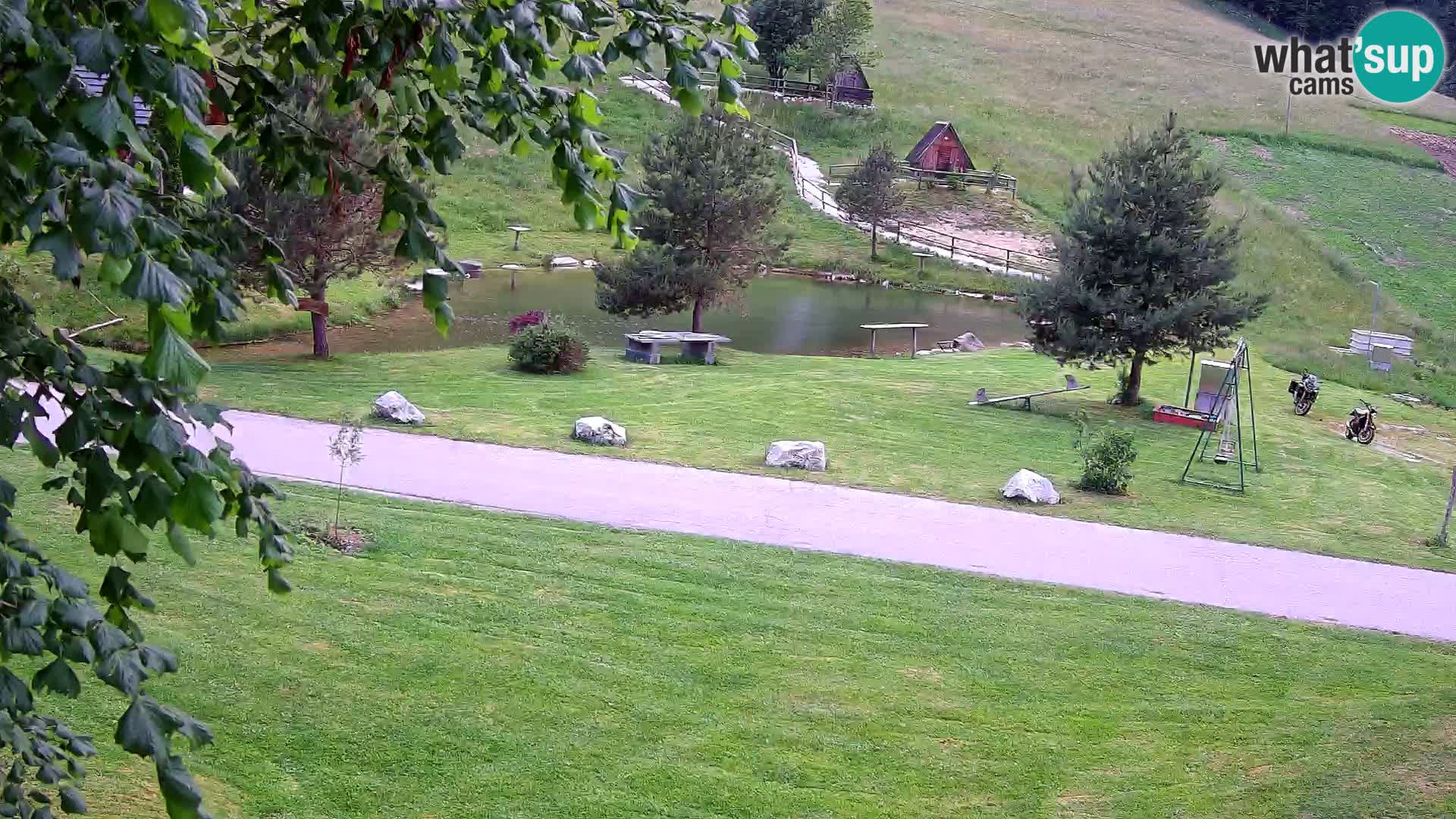Stagno presso la Fattoria turistica Pr’Vrhovc | webcam in diretta