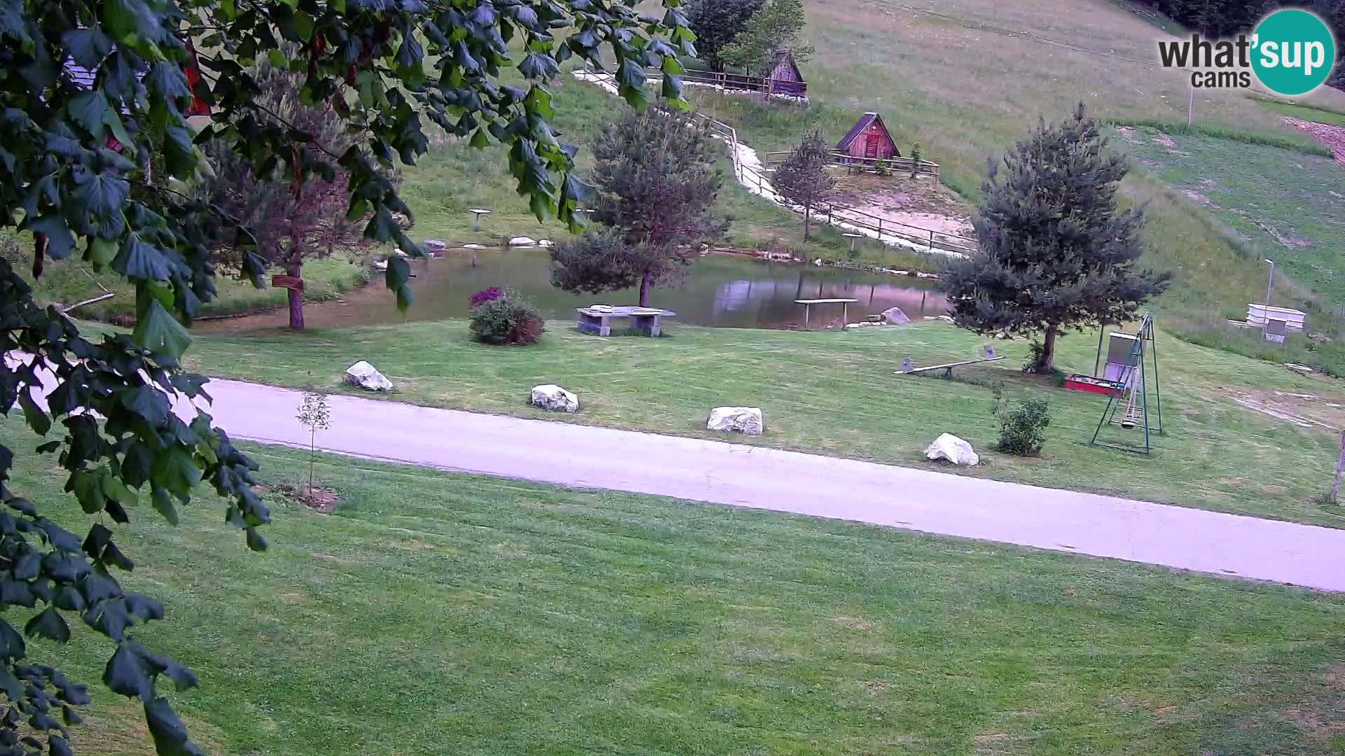 Stagno presso la Fattoria turistica Pr’Vrhovc | webcam in diretta