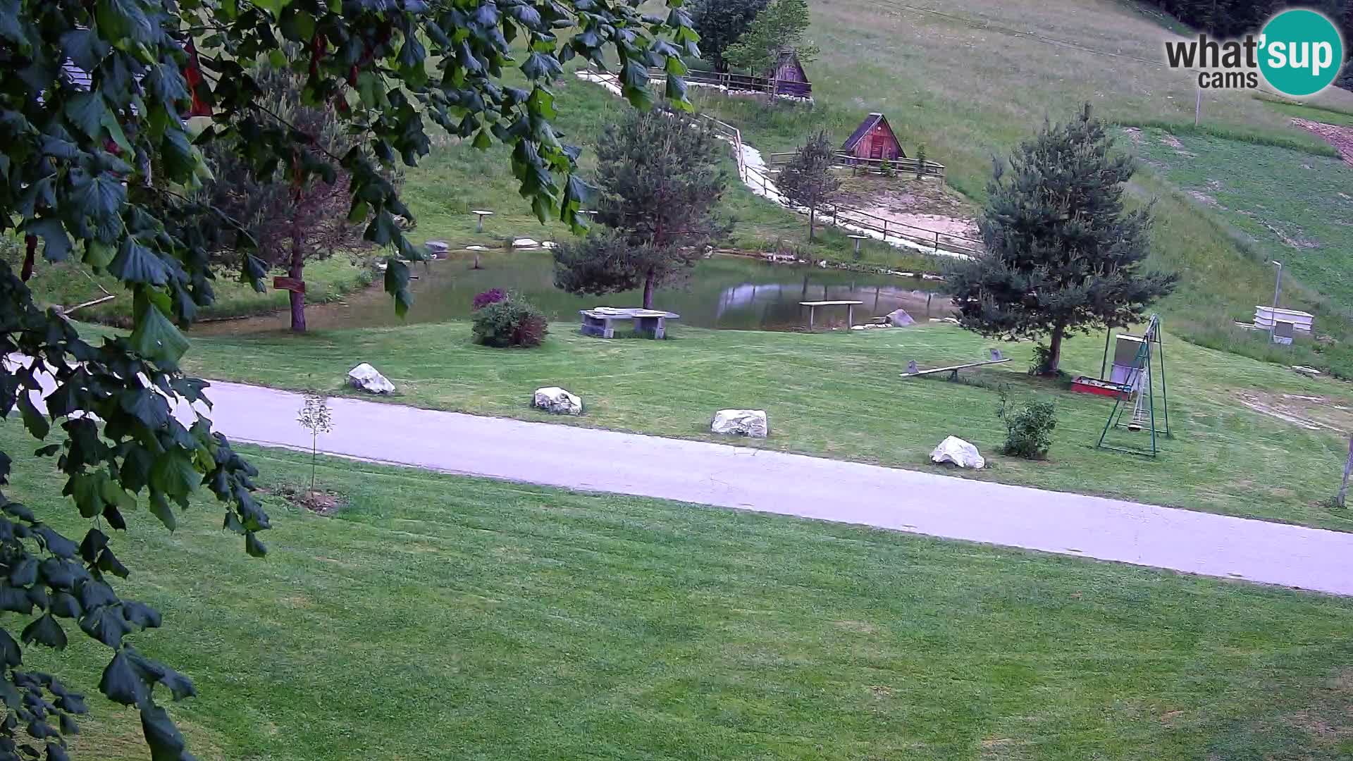 Stagno presso la Fattoria turistica Pr’Vrhovc | webcam in diretta
